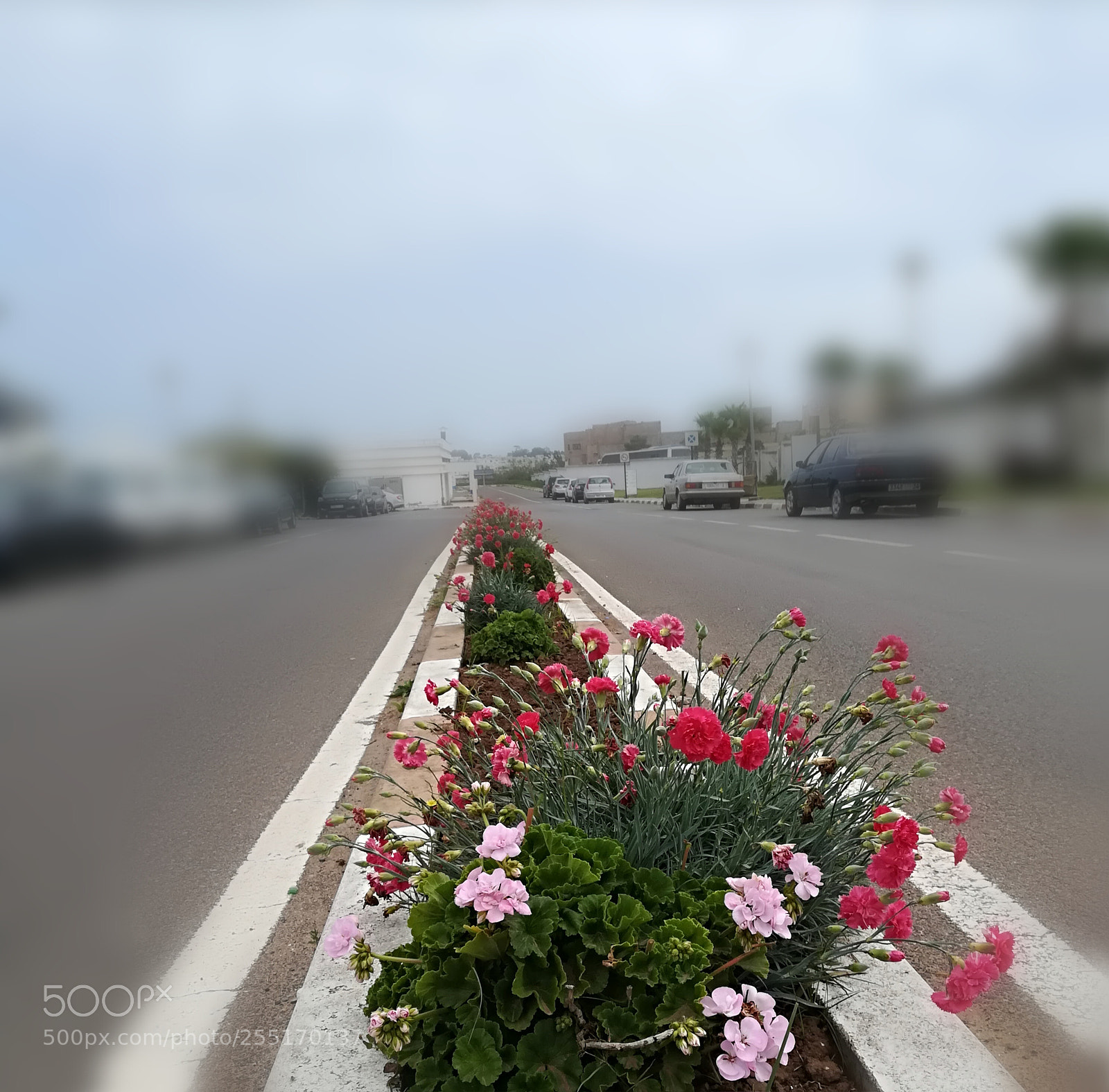 HUAWEI PRA-LX1 sample photo. Untitled photography
