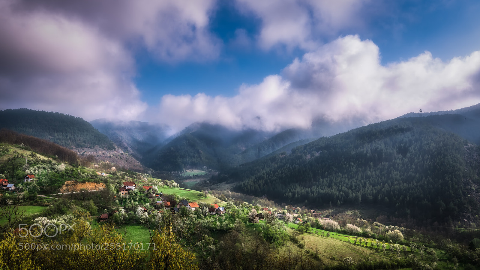 Nikon D850 sample photo. Morning in mokra gora photography