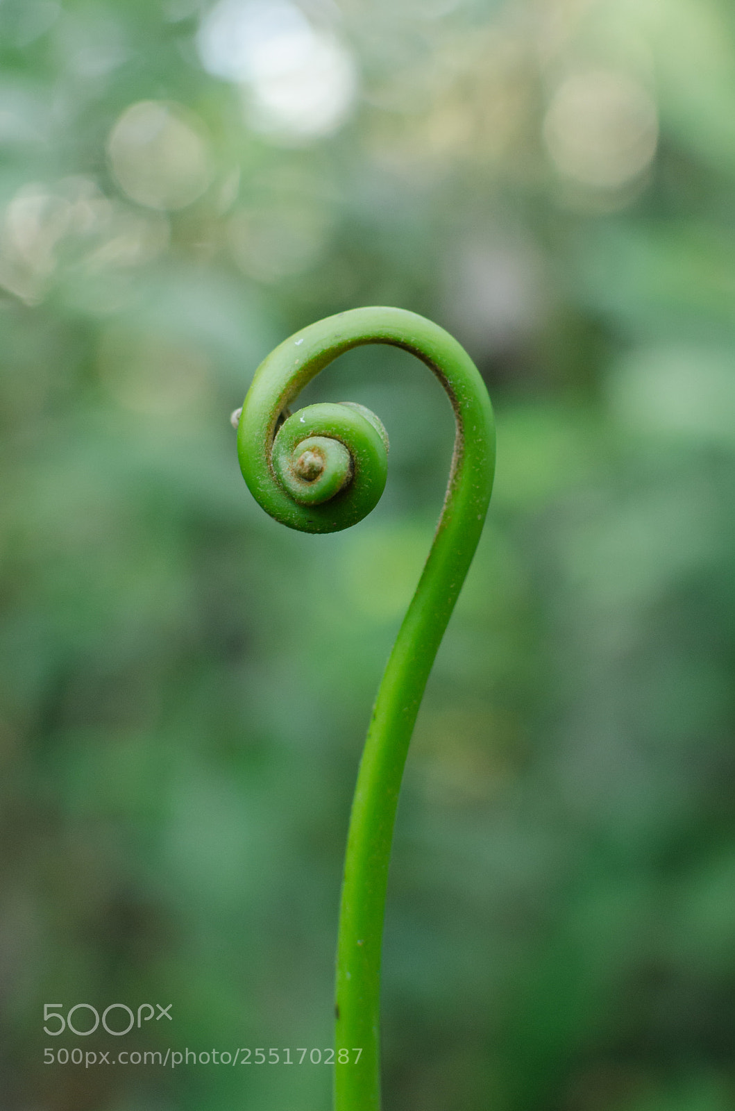 Nikon D5100 sample photo. ? photography