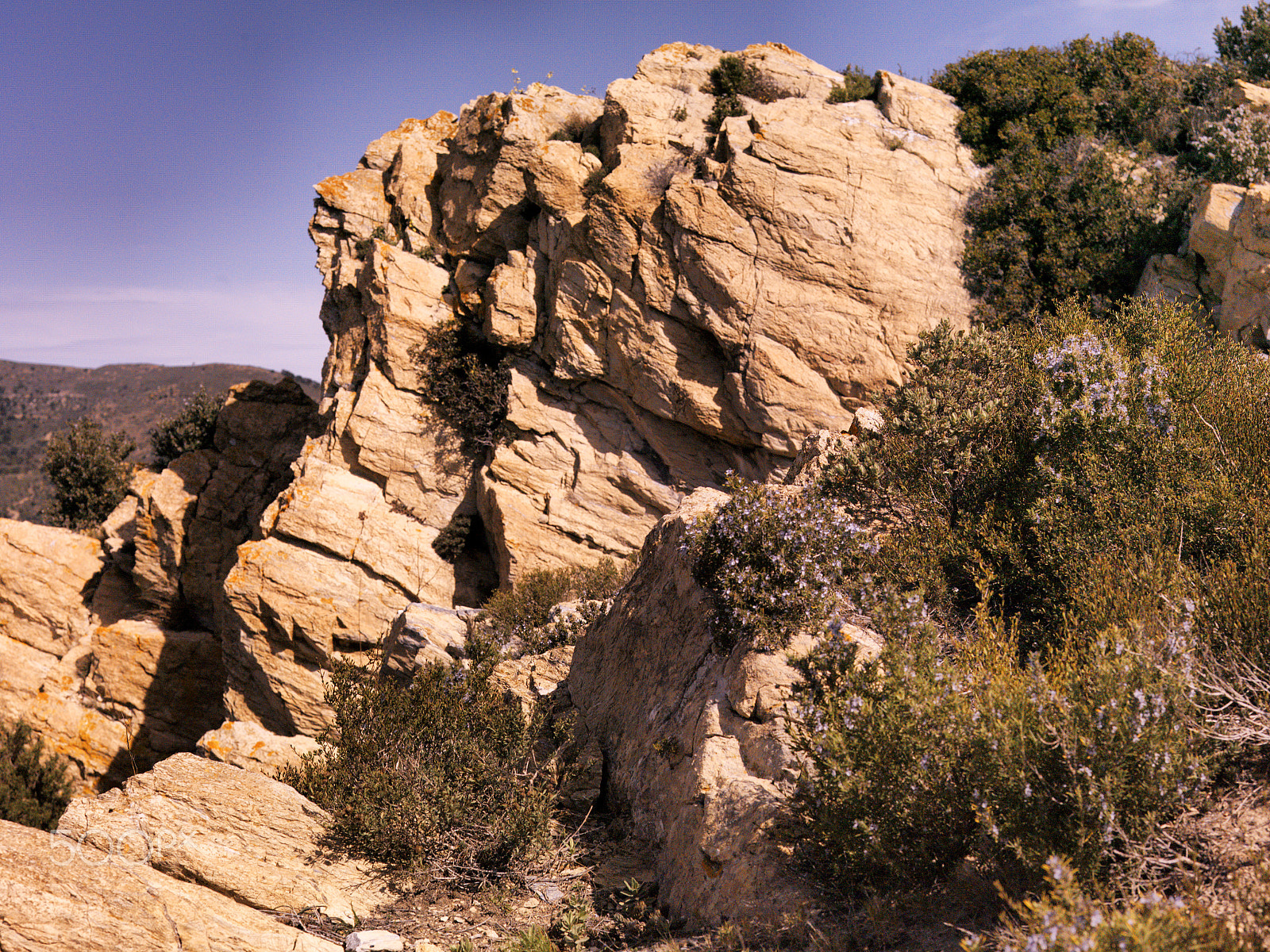 Hasselblad CF-39 sample photo. Cap de creus photography