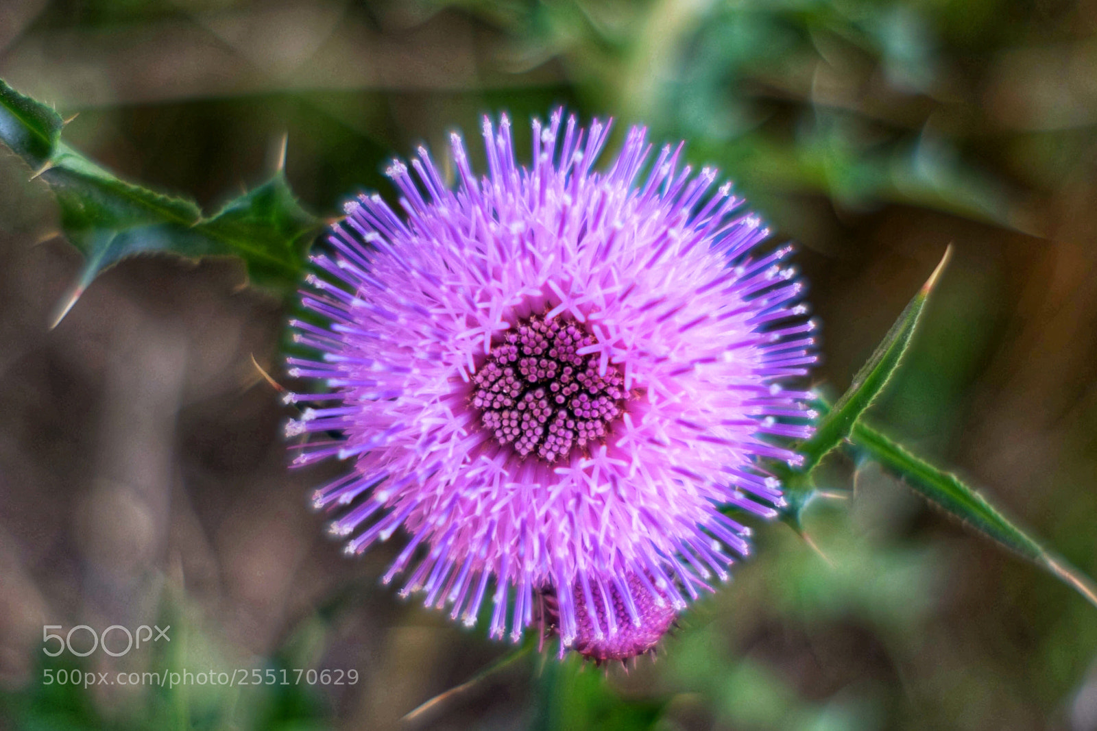 Fujifilm X-T1 sample photo. Untitled photography