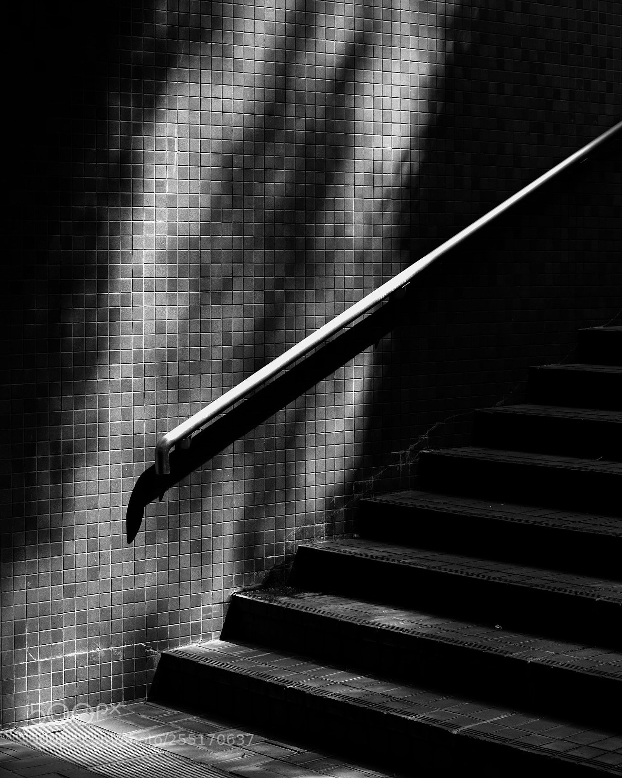 Nikon D810 sample photo. Stairs d810 snapseed photography