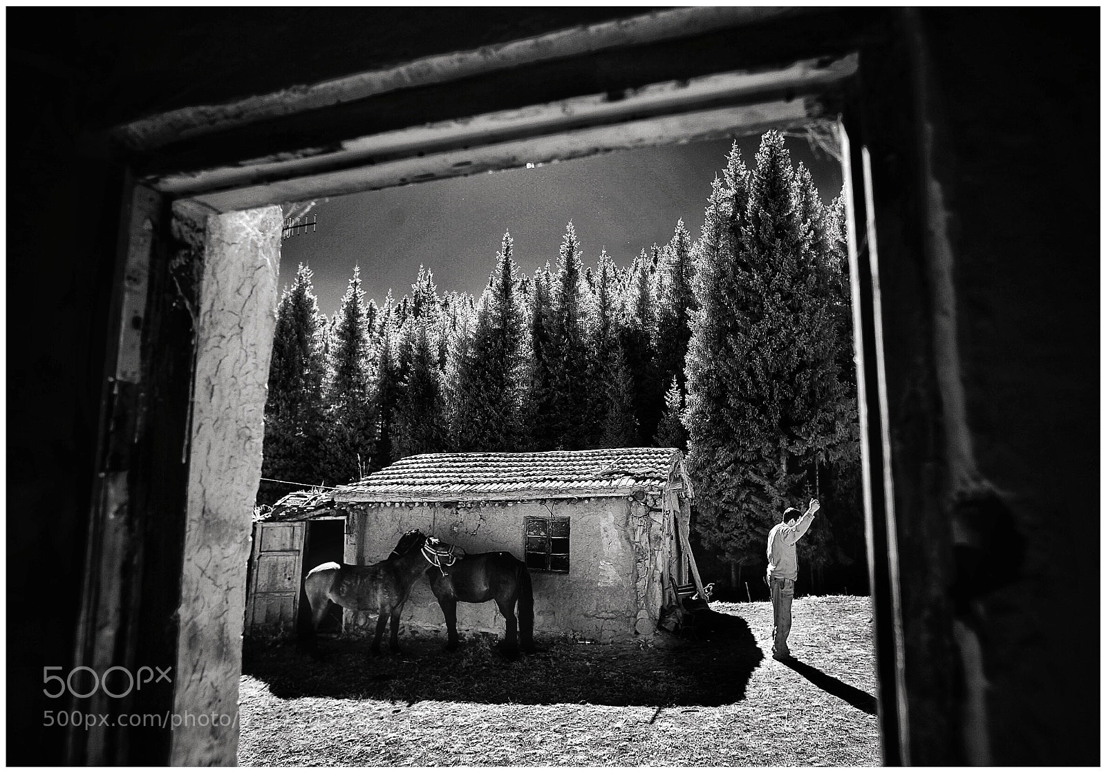 Canon EOS 5D sample photo. Xinjiang china photography