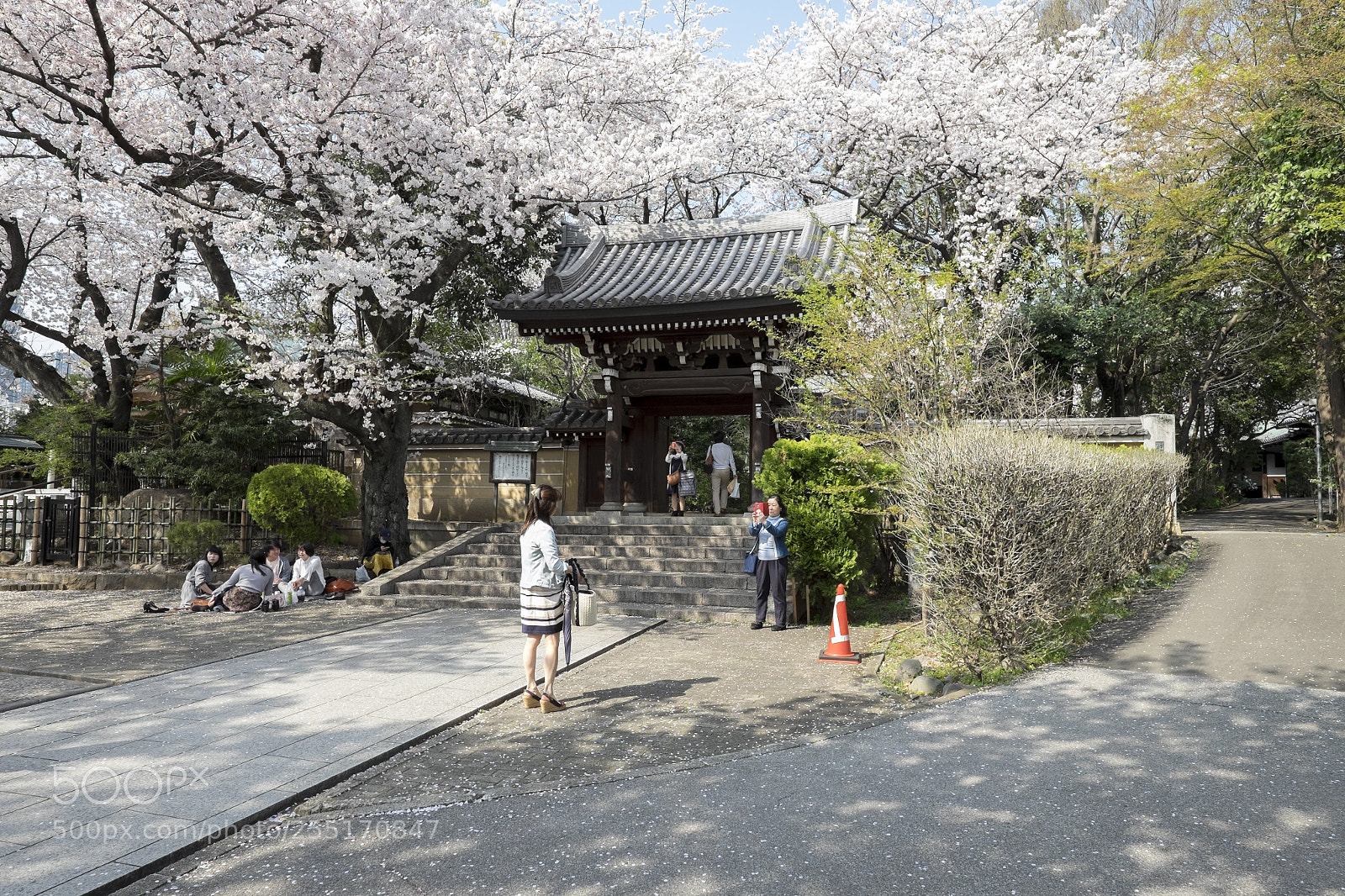 Fujifilm X-T1 sample photo. Tokyo.豊島区南池袋　法明寺 photography