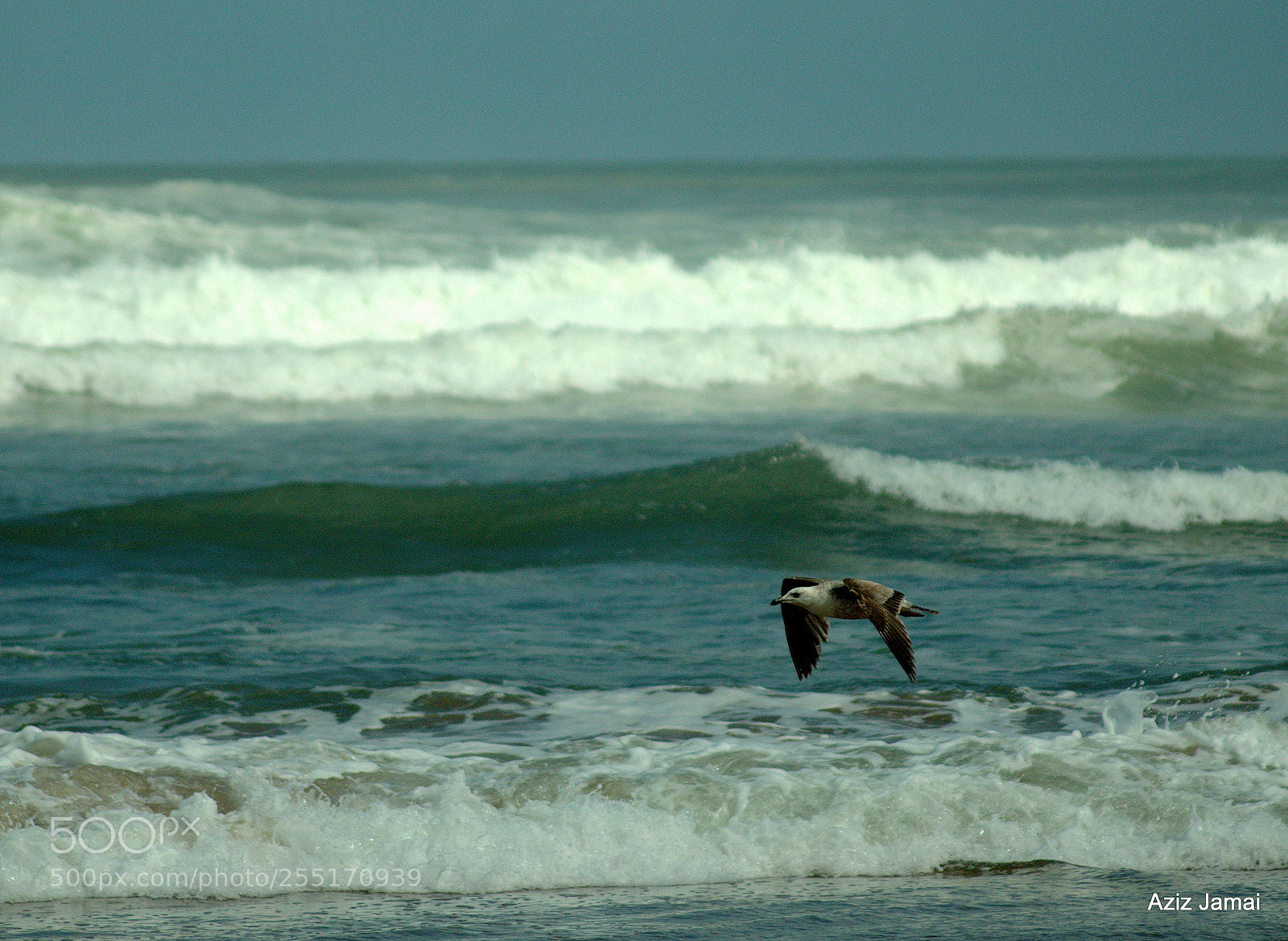 Nikon D300 sample photo. Untitled photography