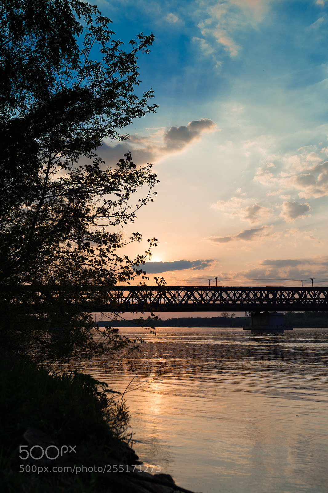 Nikon D7100 sample photo. The bridge photography