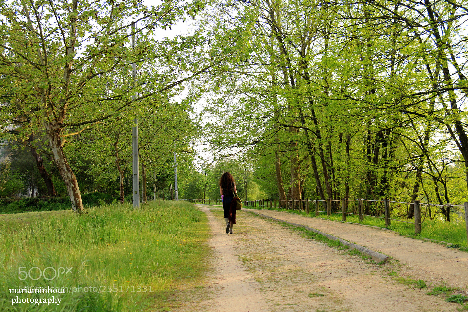 Canon EF-S 18-200mm F3.5-5.6 IS sample photo. Ever green photography