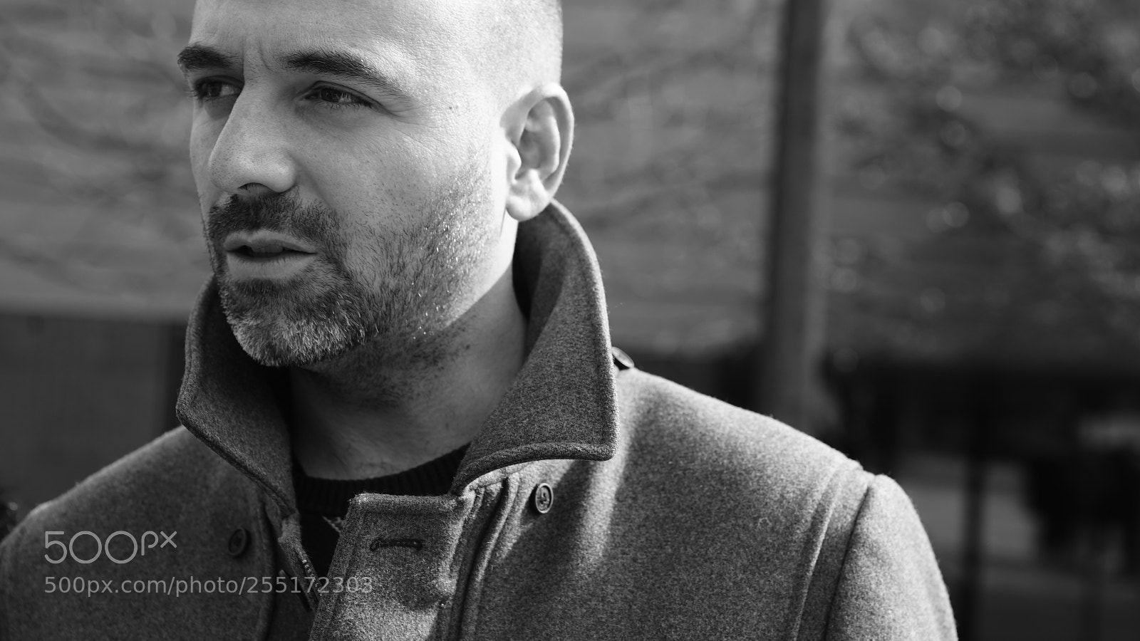 Sony a7S sample photo. Dsc photography