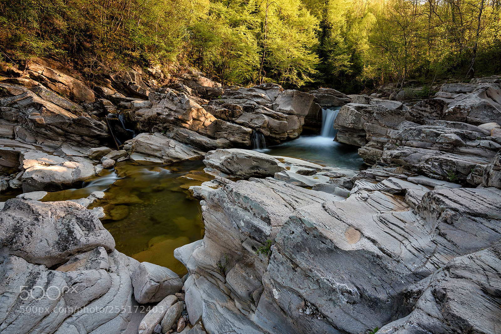Nikon D7200 sample photo. Natural sculpture photography