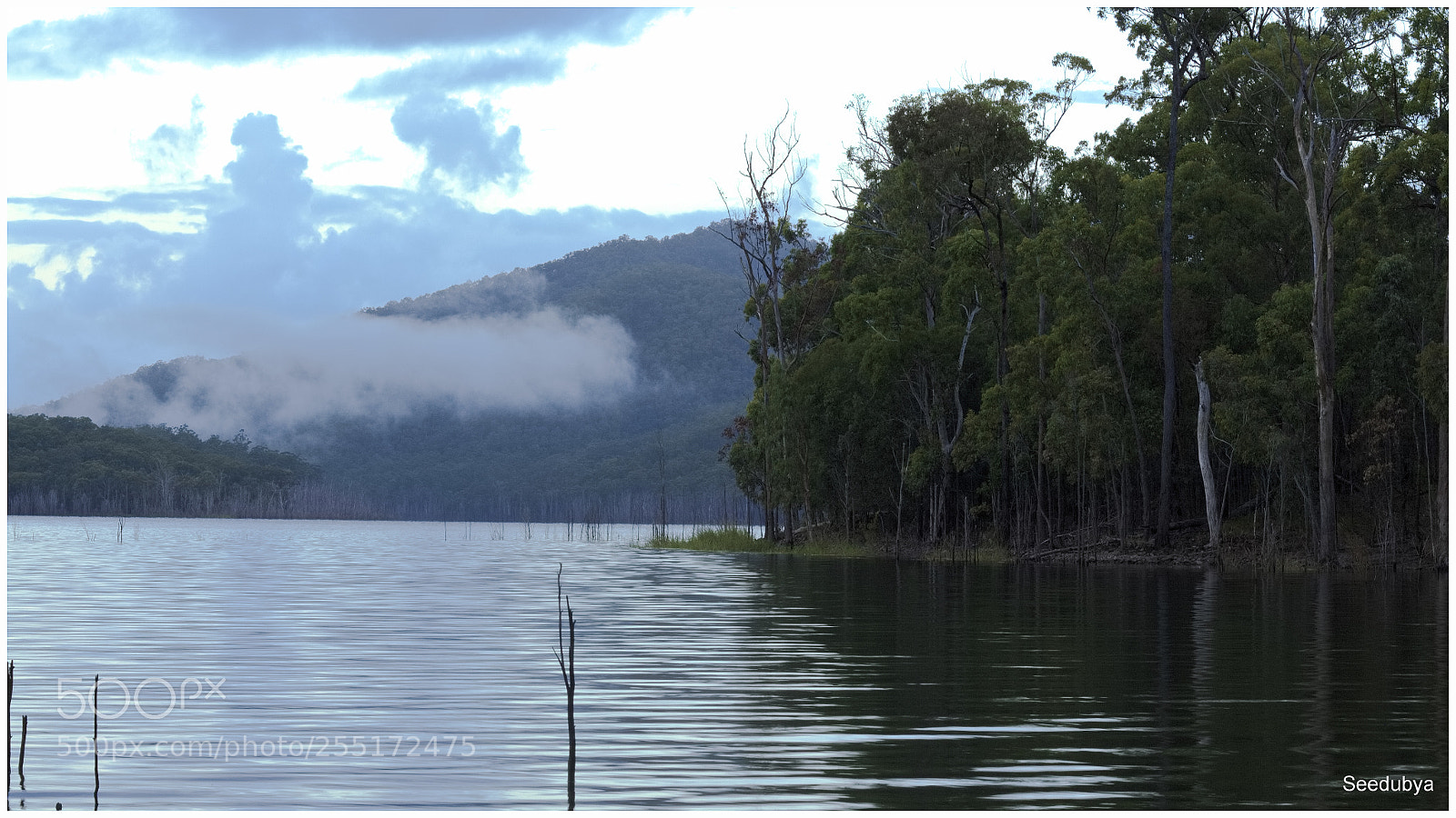 Canon EOS 700D (EOS Rebel T5i / EOS Kiss X7i) sample photo. Smokey dam photography