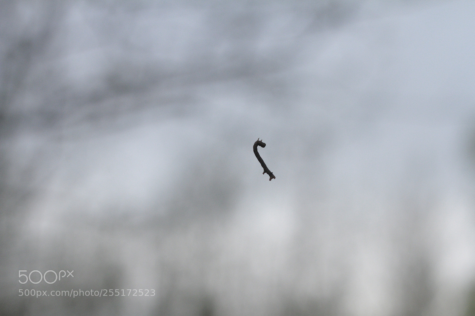 Canon EOS 7D + Canon EF 50mm F1.8 II sample photo. Housenka photography