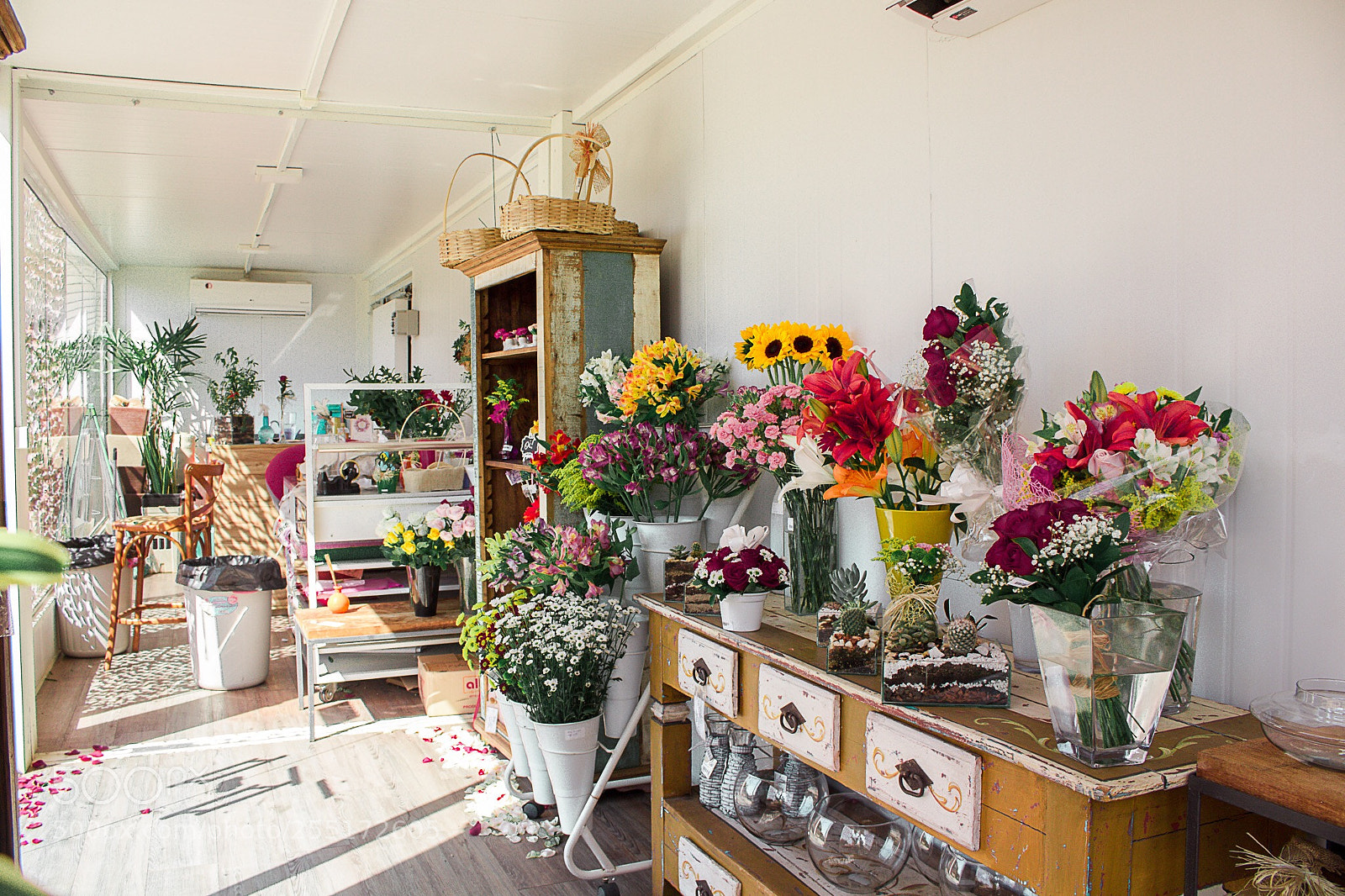 Canon EOS 700D (EOS Rebel T5i / EOS Kiss X7i) sample photo. A pretty flower store photography