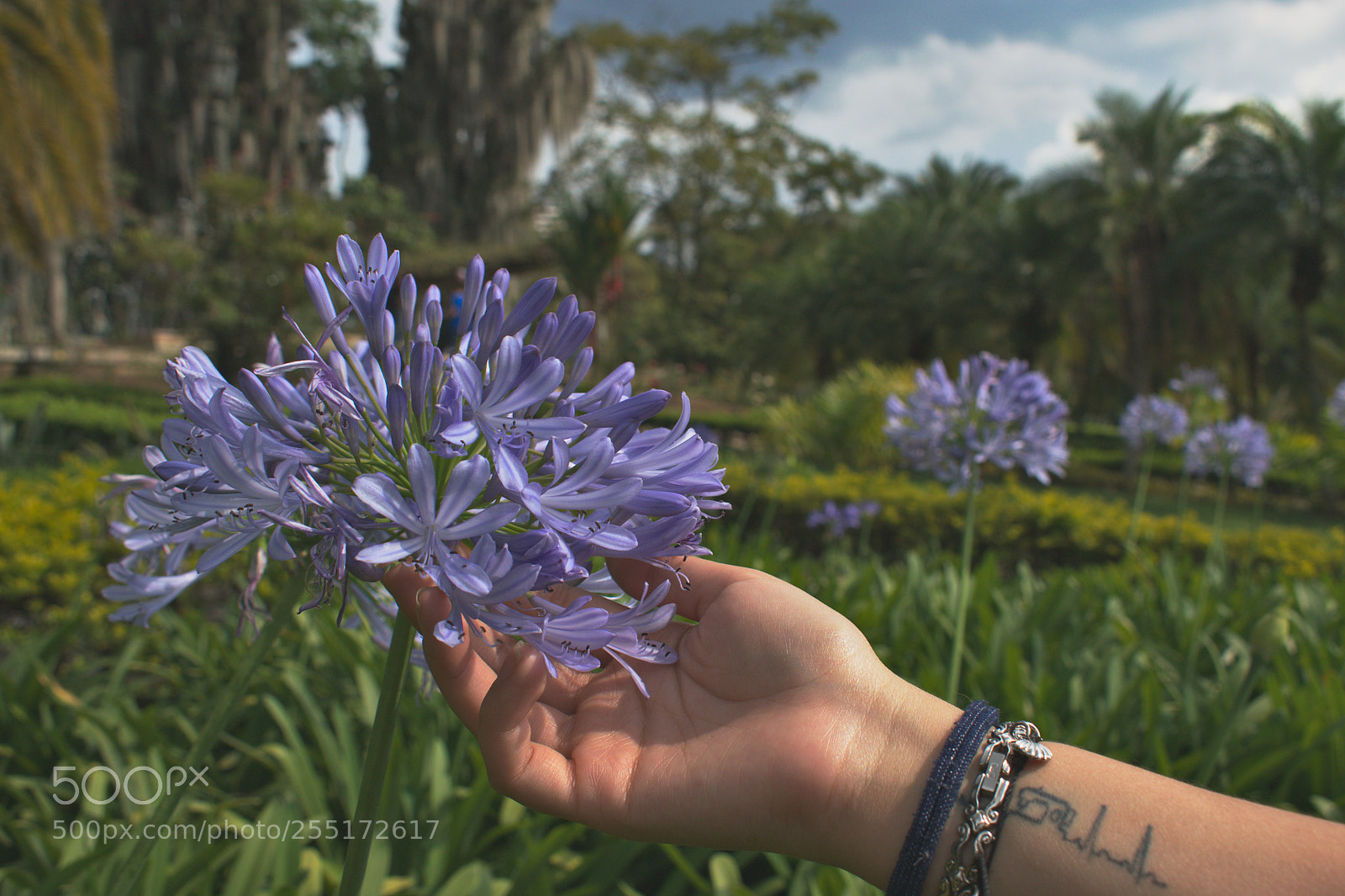 Nikon D3300 sample photo. La delicadeza en ambas photography