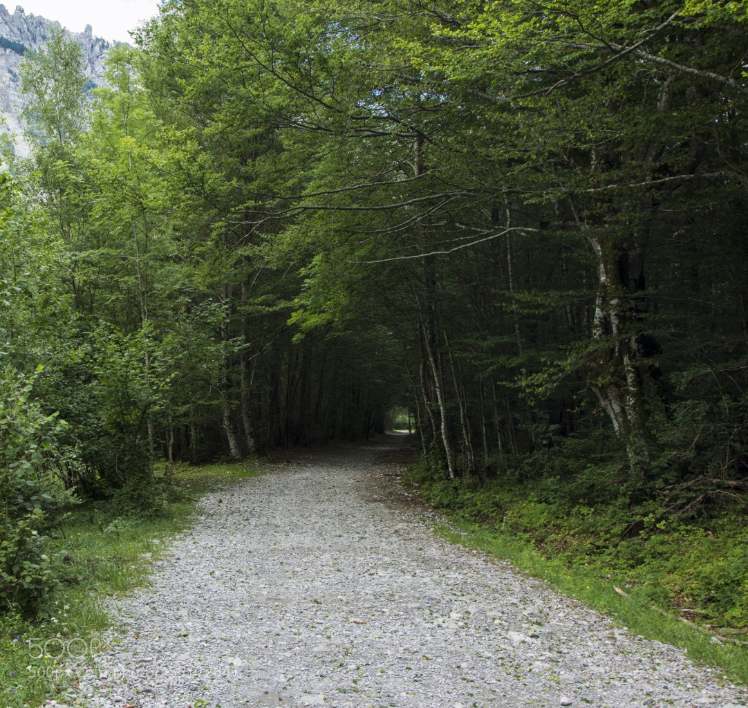 Nikon D7200 sample photo. Camino pirenaico photography