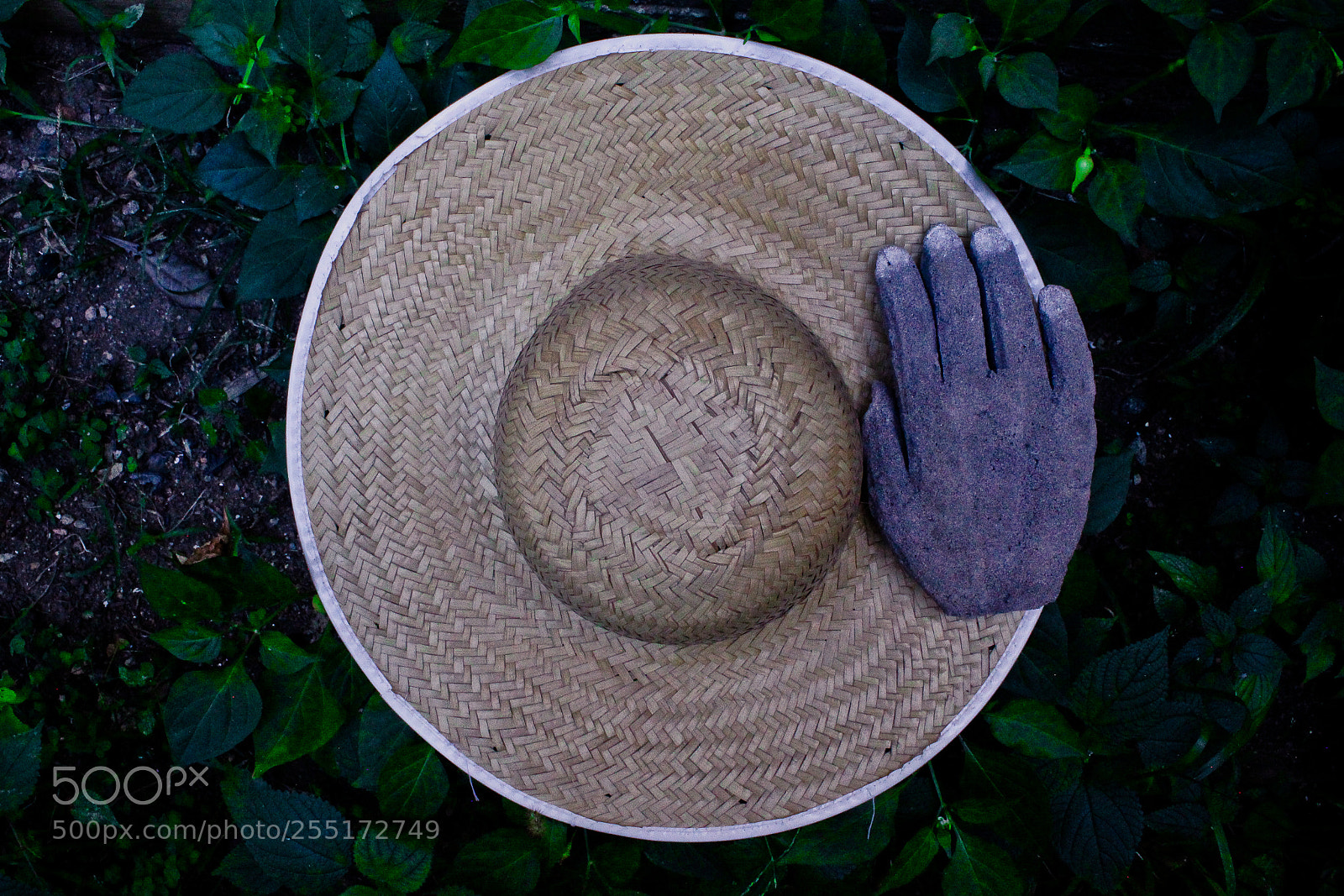 Canon EOS 600D (Rebel EOS T3i / EOS Kiss X5) sample photo. Hand abstract photography