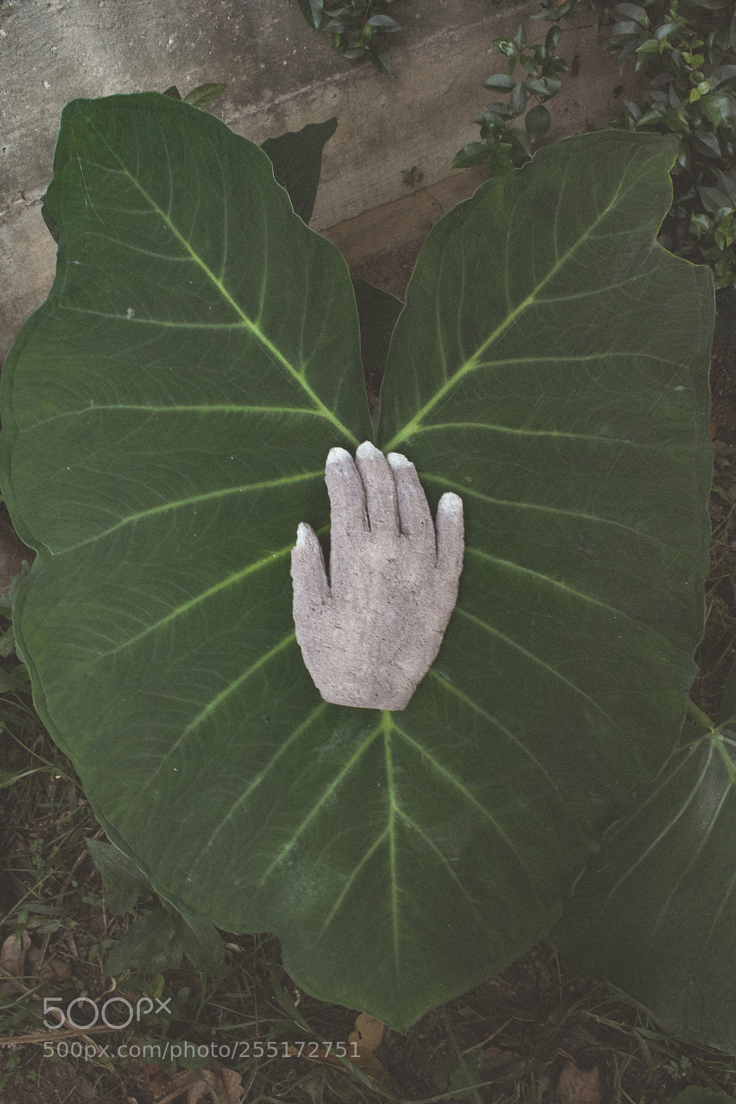 Canon EOS 600D (Rebel EOS T3i / EOS Kiss X5) sample photo. Hand abstract photography
