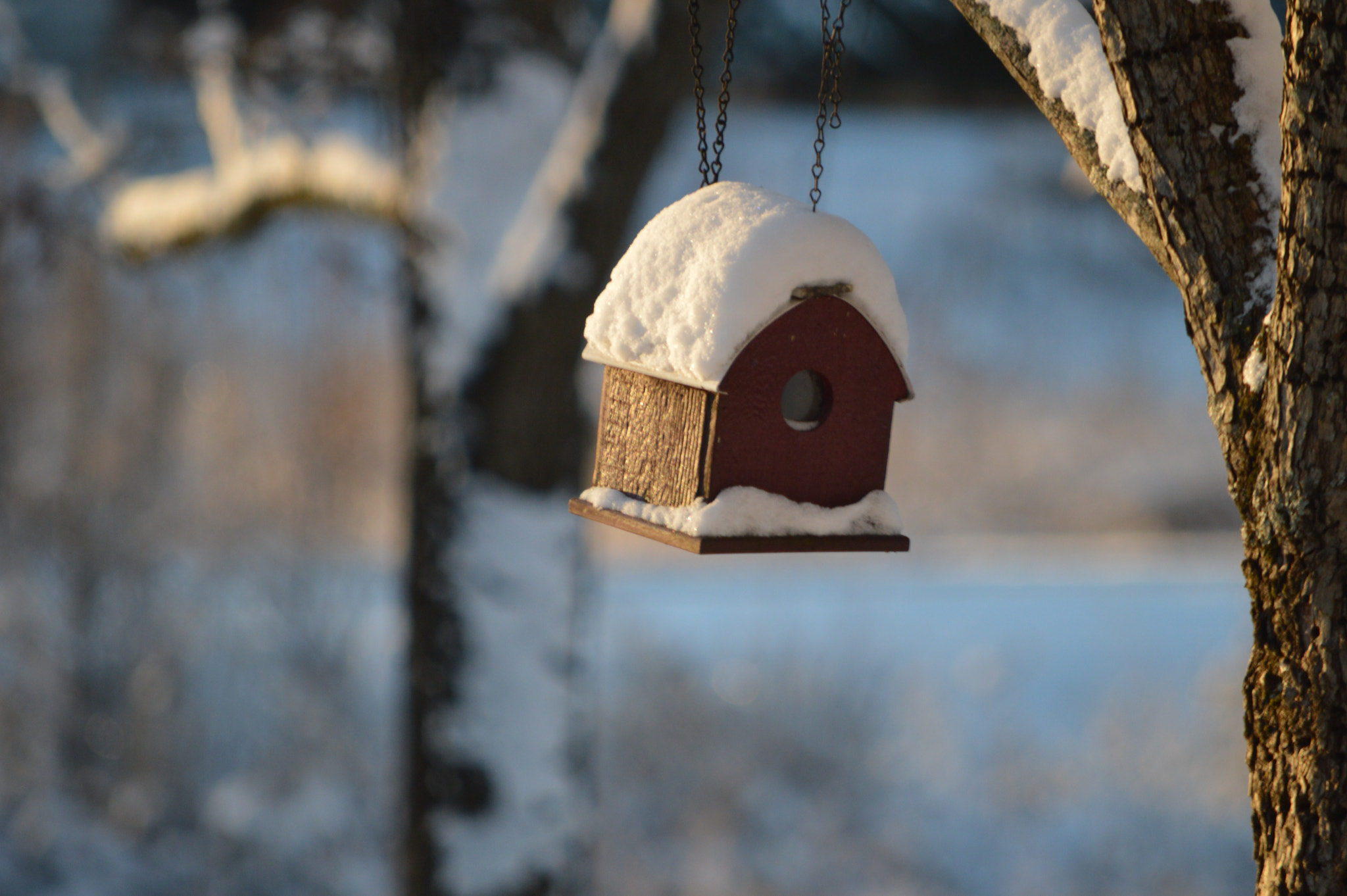 Nikon D3200 sample photo. () photography