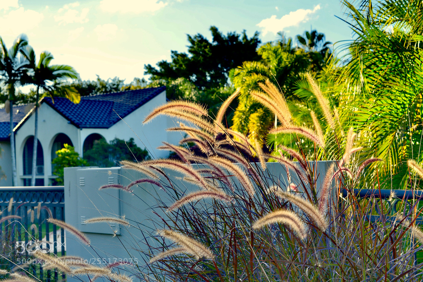 Nikon D800 sample photo. 《the sun shines brightly.》3。 photography