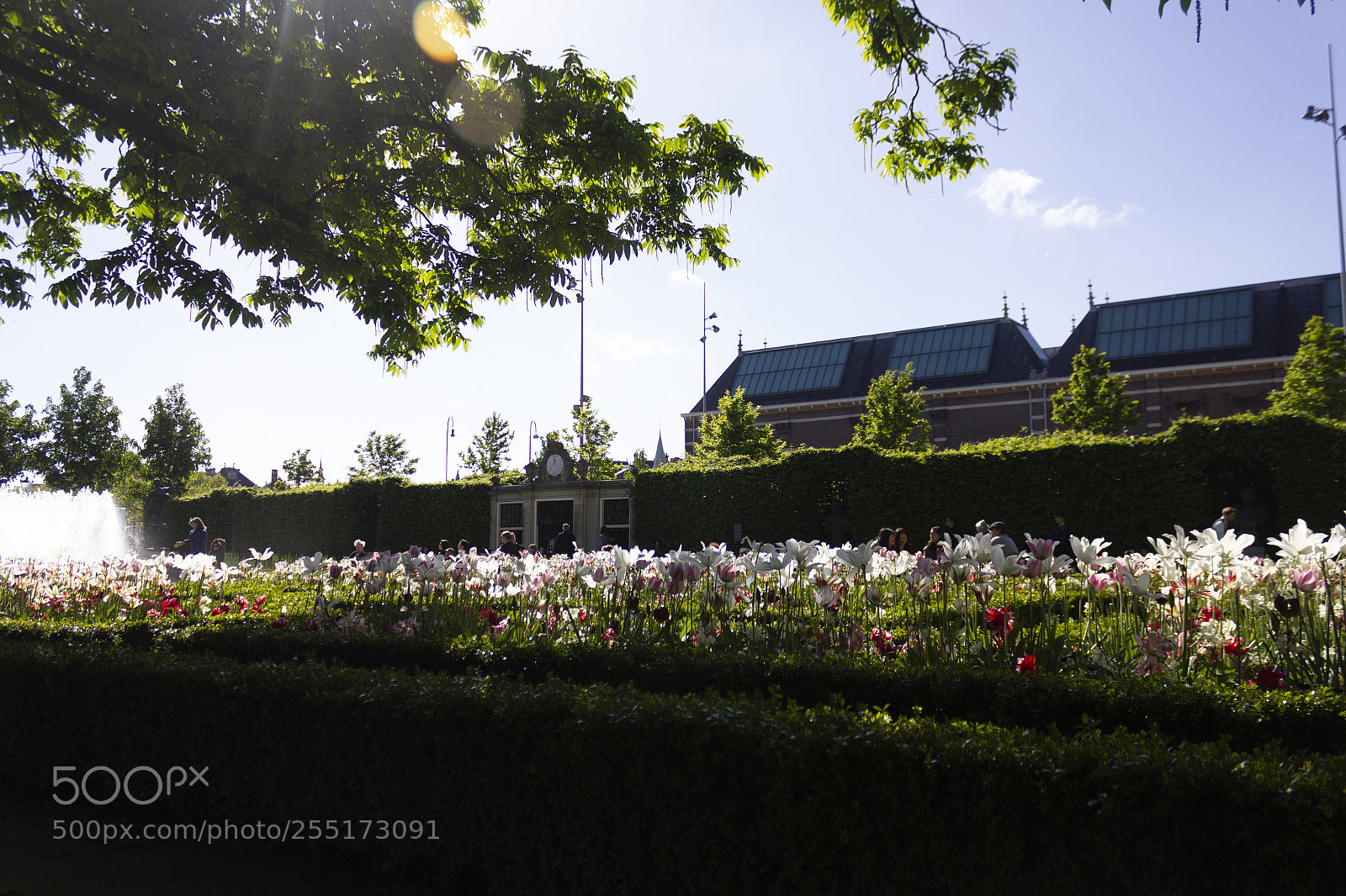 Canon EOS 550D (EOS Rebel T2i / EOS Kiss X4) sample photo. Jardim photography