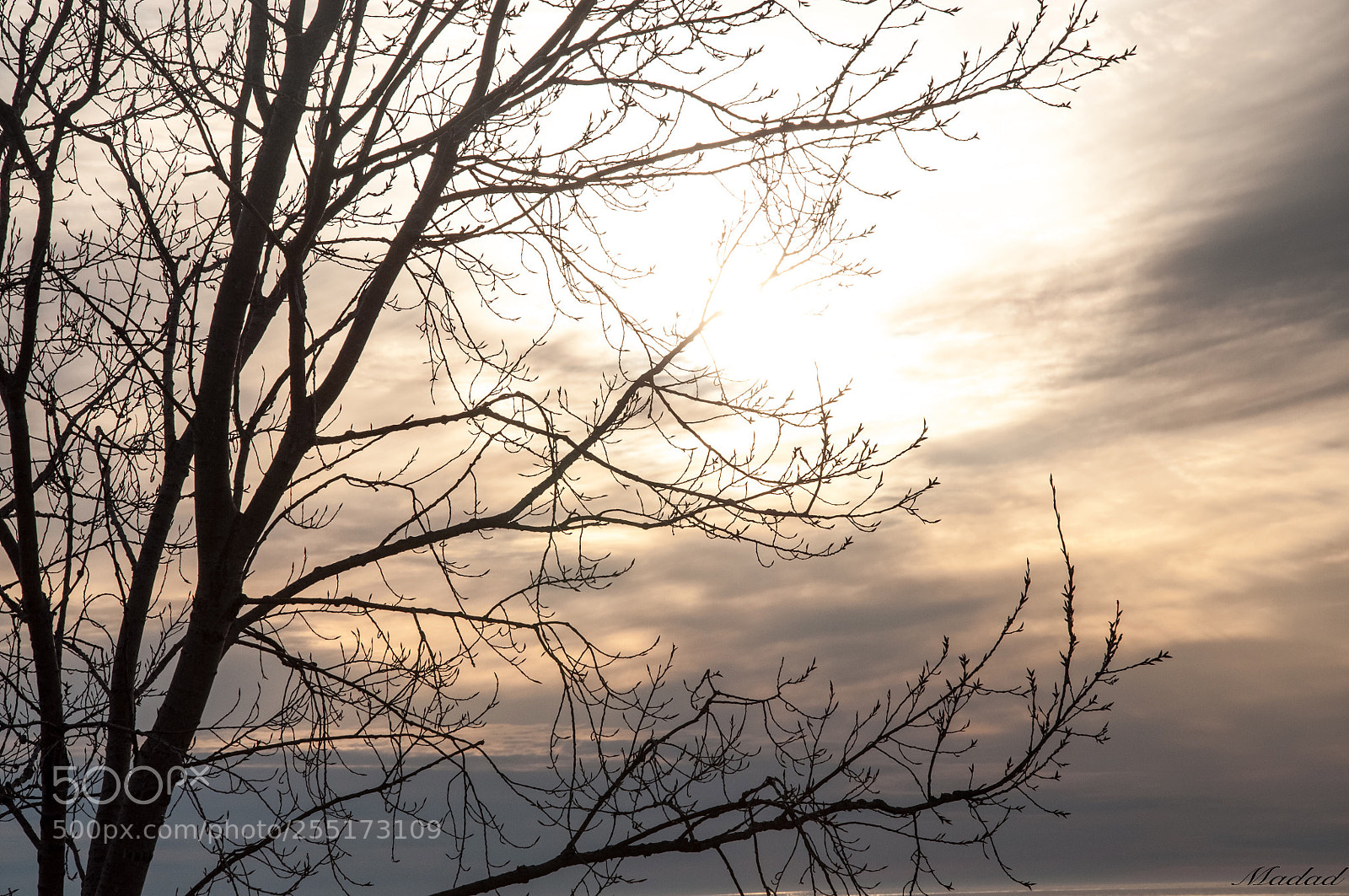 Nikon D90 sample photo. Untitled photography