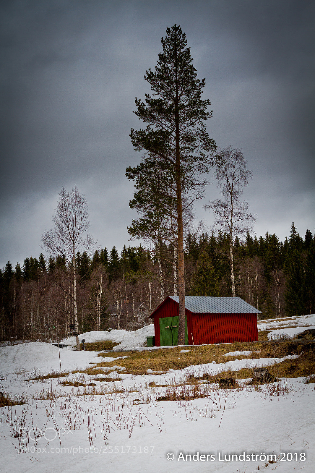 Canon EOS 7D sample photo. Senvuxen tall photography