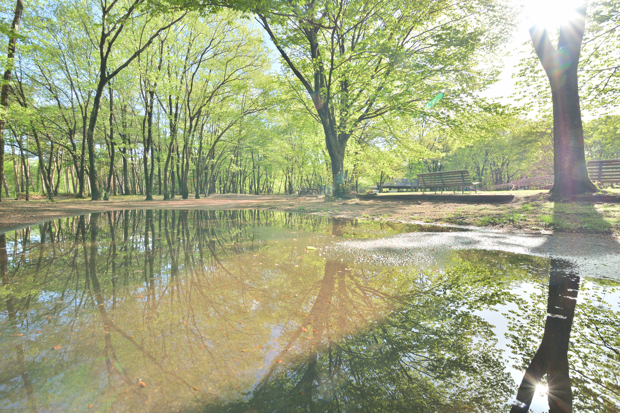 Nikon D5300 + Sigma 10-20mm F3.5 EX DC HSM sample photo. Dsc photography