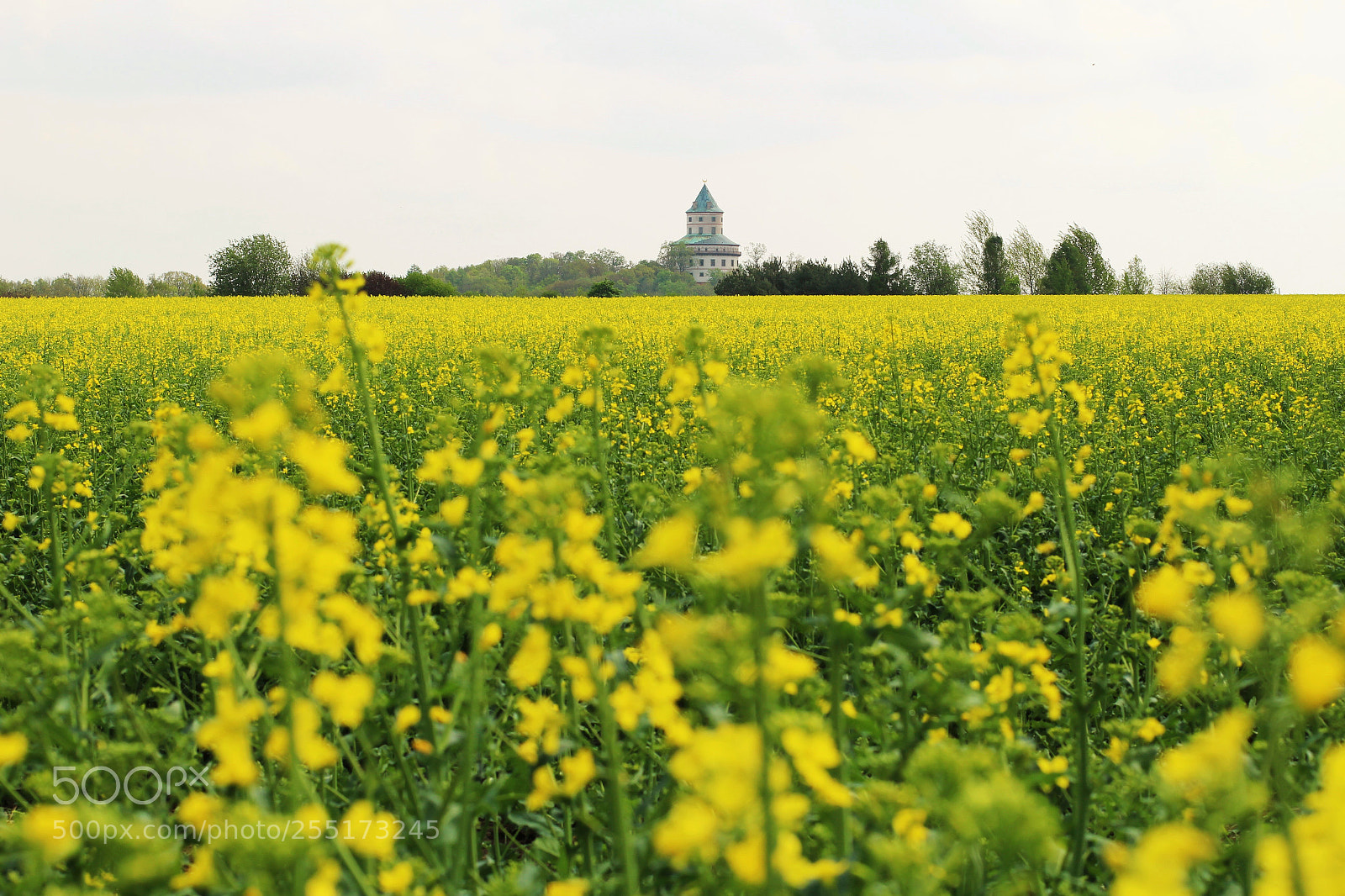 Canon EOS 100D (EOS Rebel SL1 / EOS Kiss X7) sample photo. Castle in gold photography