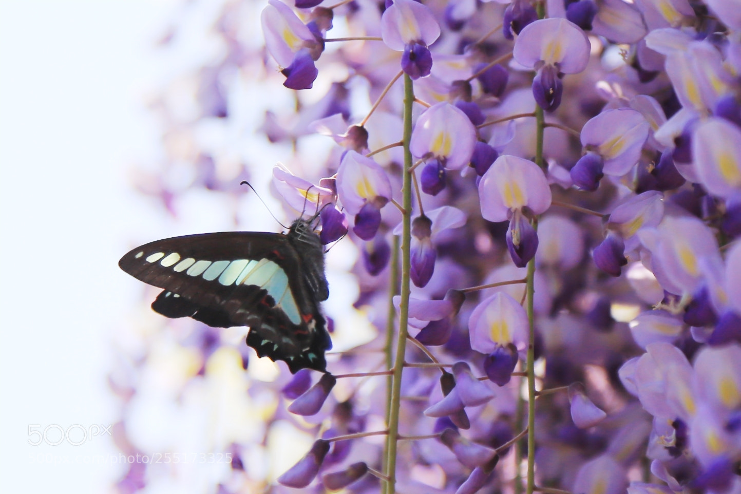 Canon EOS 6D + Canon EF 24-105mm F4L IS USM sample photo. Encounter photography