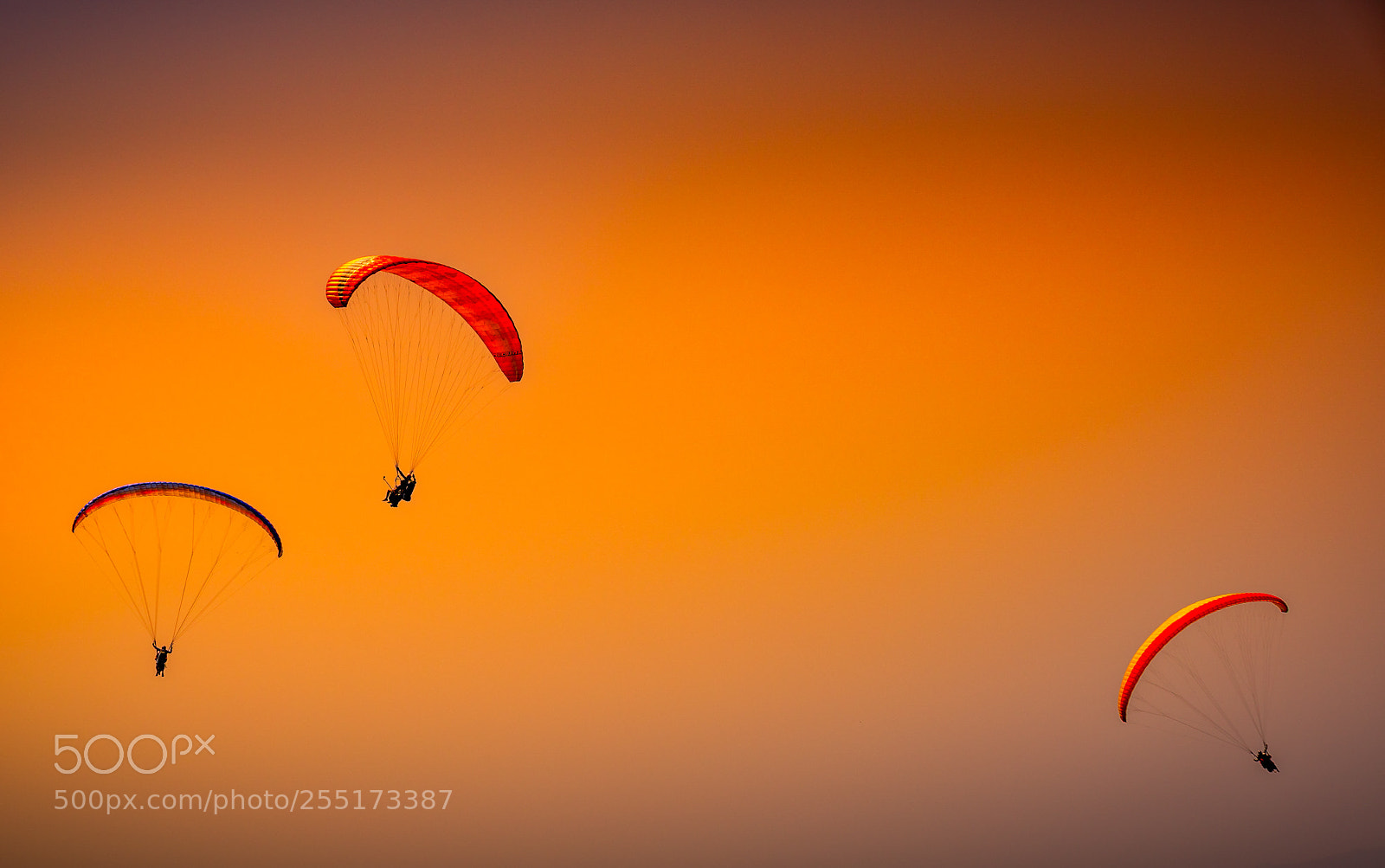 Sony a9 sample photo. Sarangkot pokhara photography