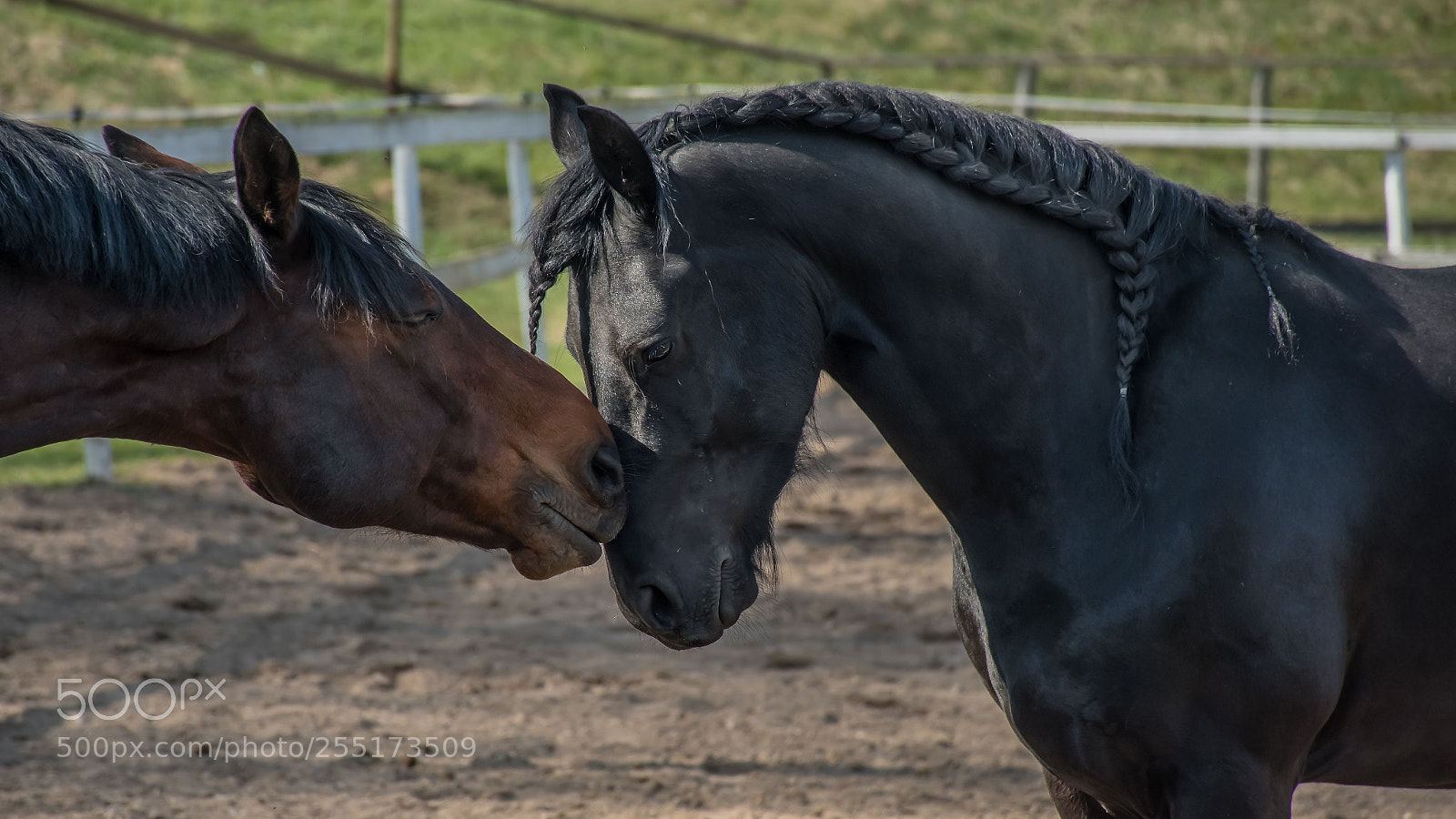 Nikon D7500 sample photo. I think i really photography