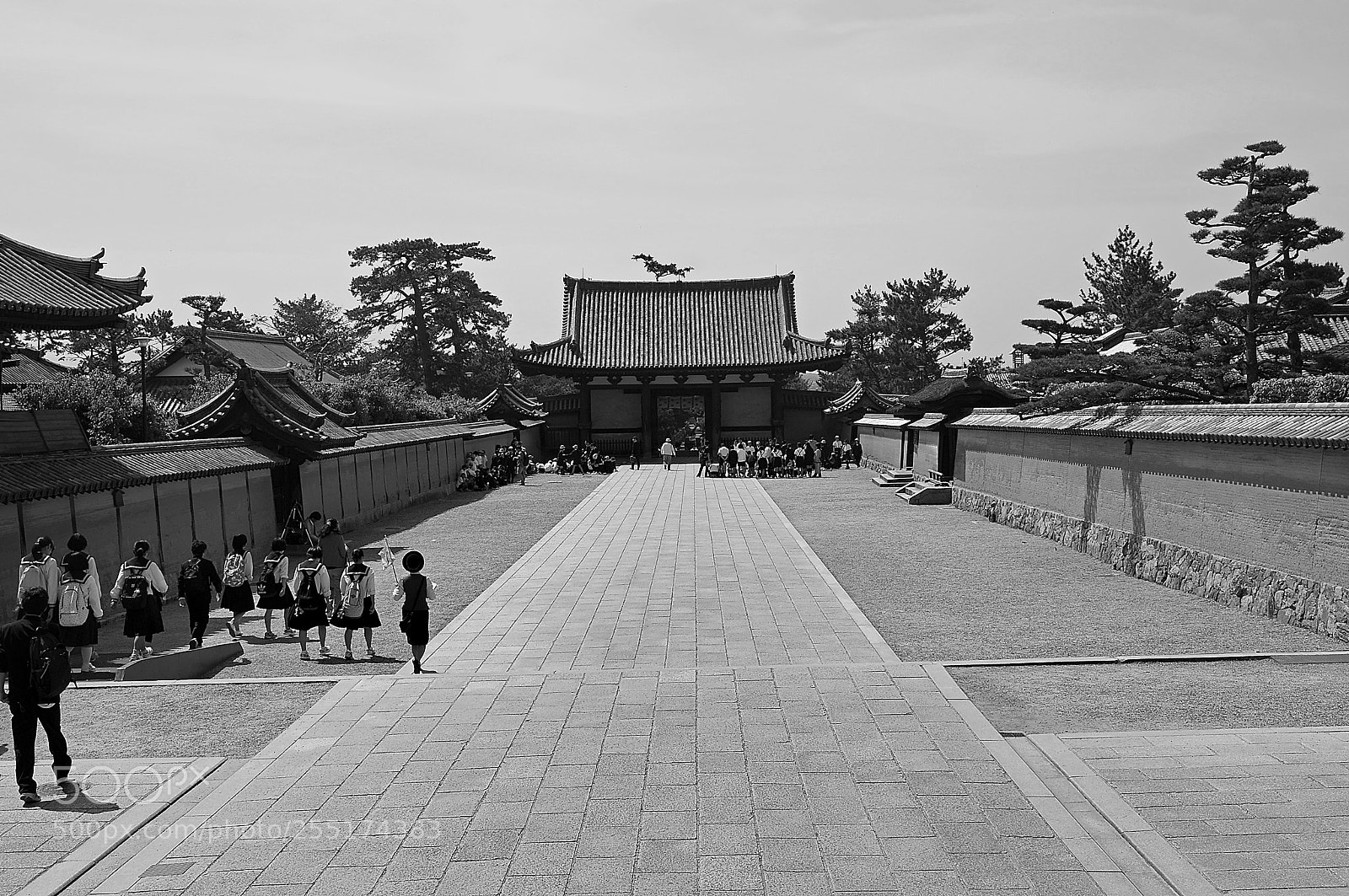 Sony Alpha NEX-6 sample photo. In nara photography