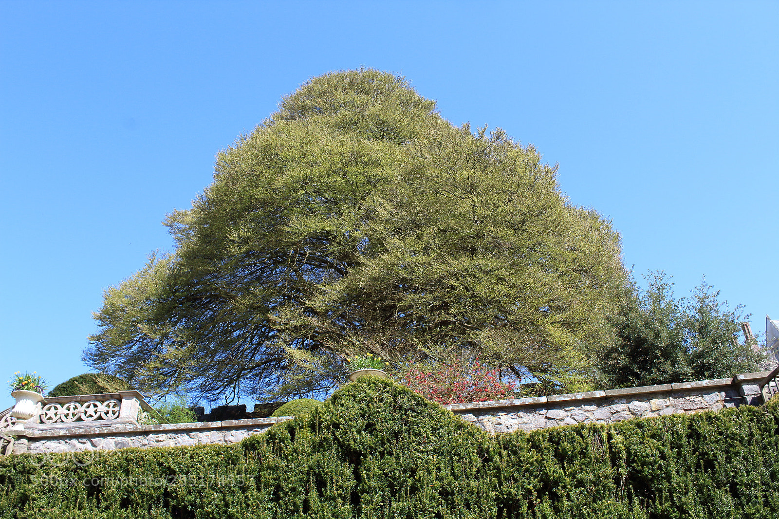Canon EOS 1300D (EOS Rebel T6 / EOS Kiss X80) sample photo. St fagans () photography