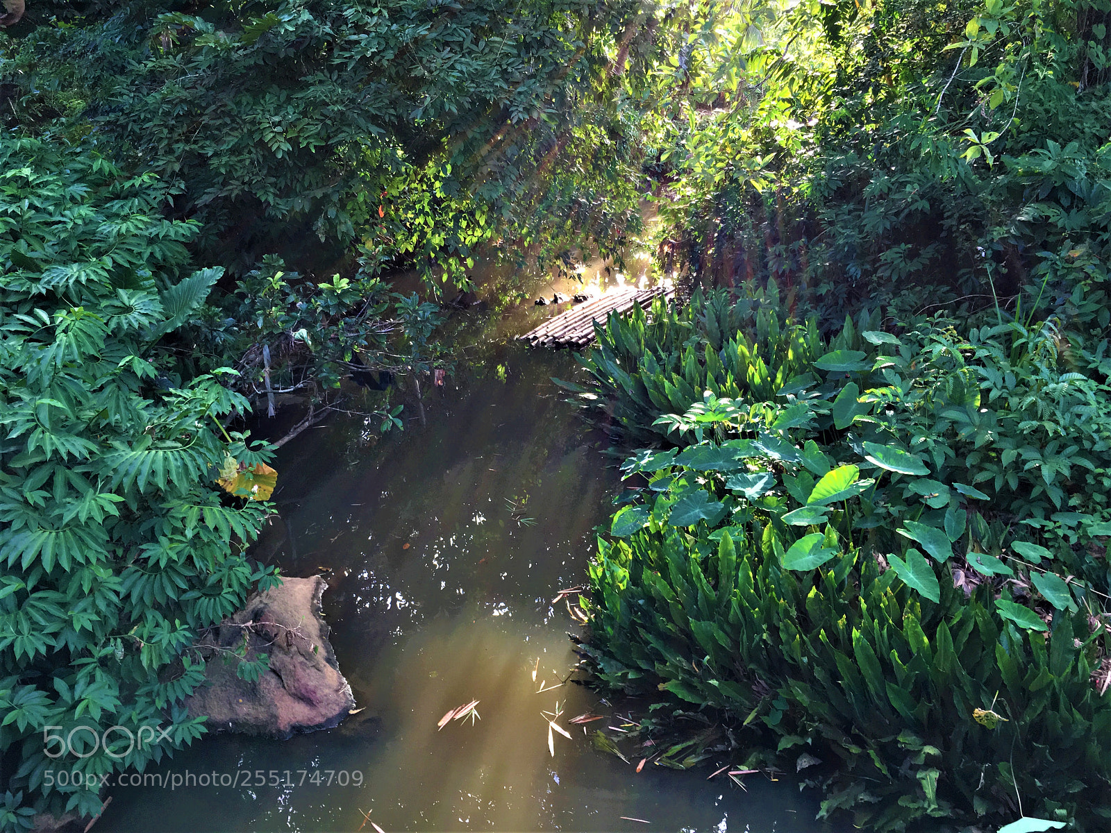 Apple iPhone 6s sample photo. Creek photography