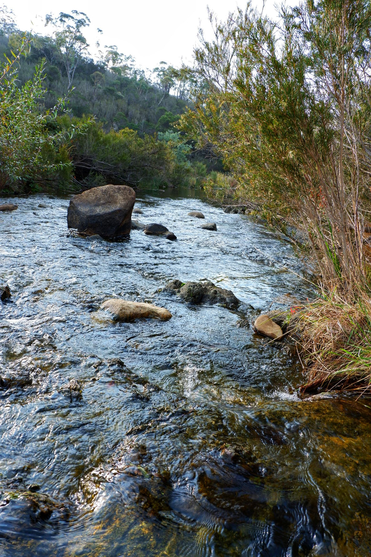 Fujifilm X-A3 sample photo. River photography
