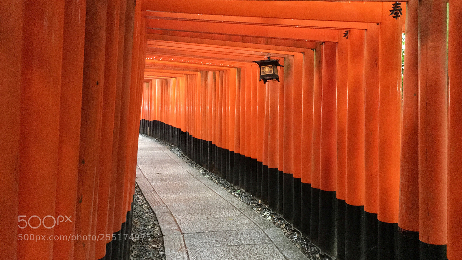 Apple iPhone 6s sample photo. Red torii photography