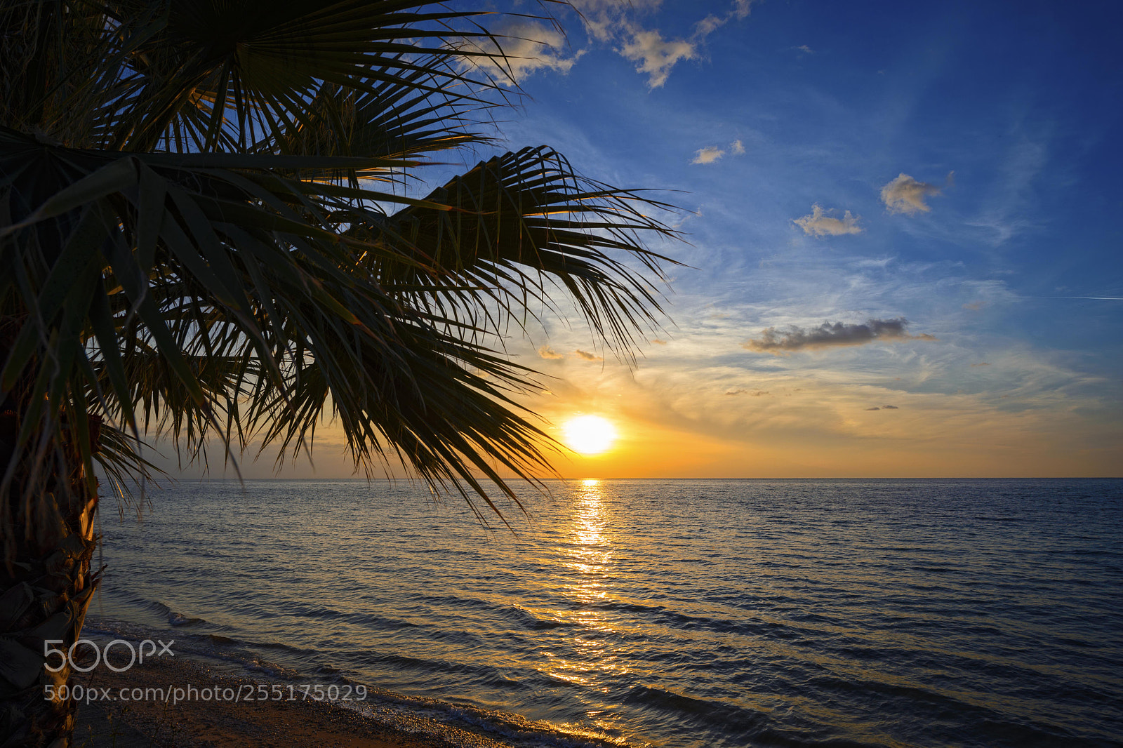Nikon D600 sample photo. Sunset photography