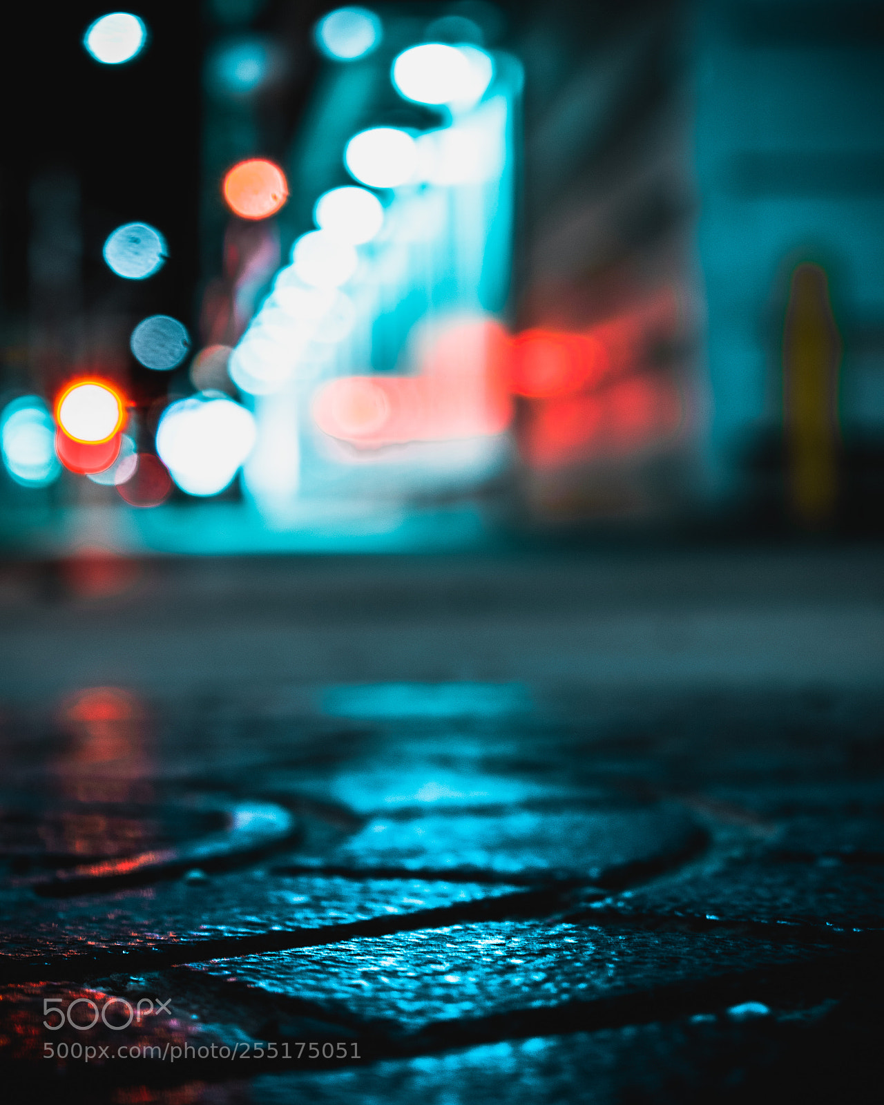 Nikon D5300 sample photo. Sewer lids can be photography