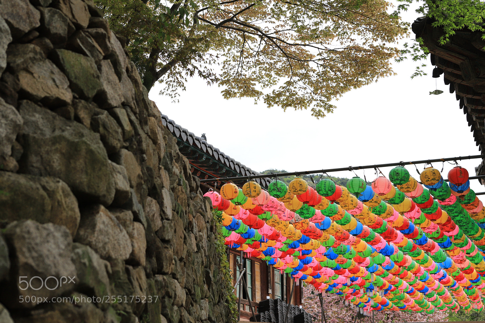 Canon EOS 6D Mark II sample photo. Temple photography