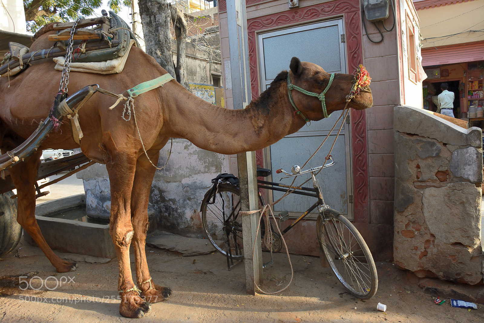 Nikon D7100 sample photo. Parking for environmentally friendly photography