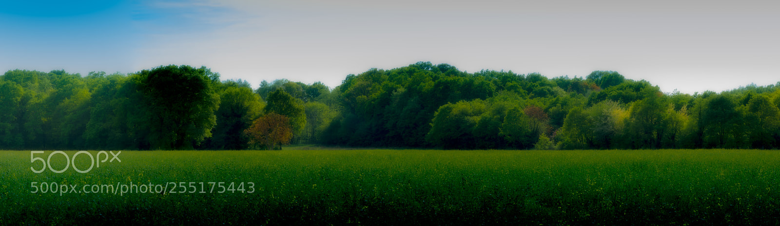 Nikon D850 sample photo. Or e de for photography