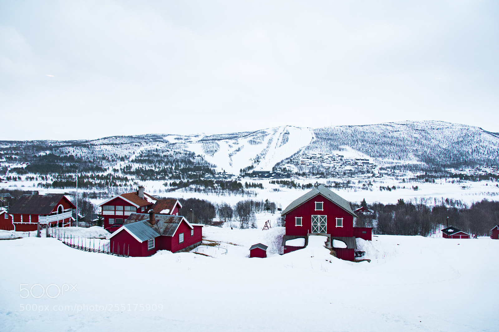 Nikon D5500 sample photo. Ski slope photography