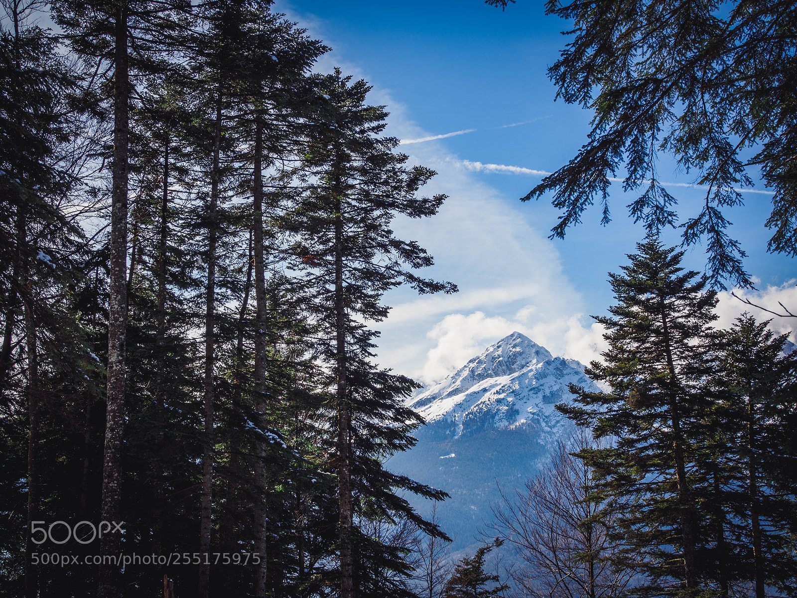 Olympus OM-D E-M5 II sample photo. Brenta dolomiti photography