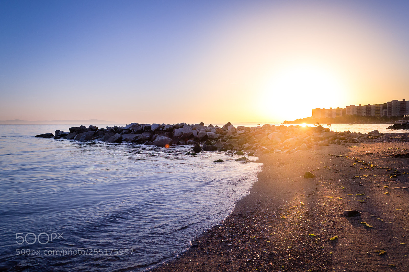 Nikon D3100 sample photo. Violet sunset photography