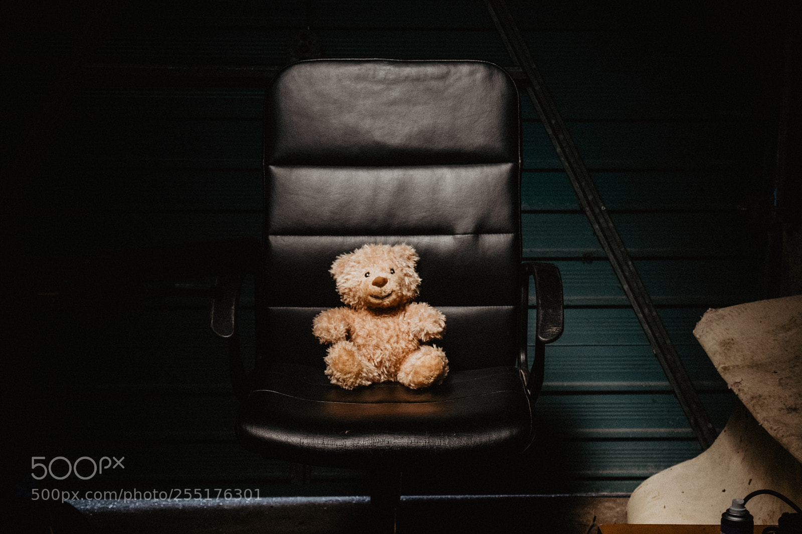 Nikon D5300 sample photo. Teddy photography