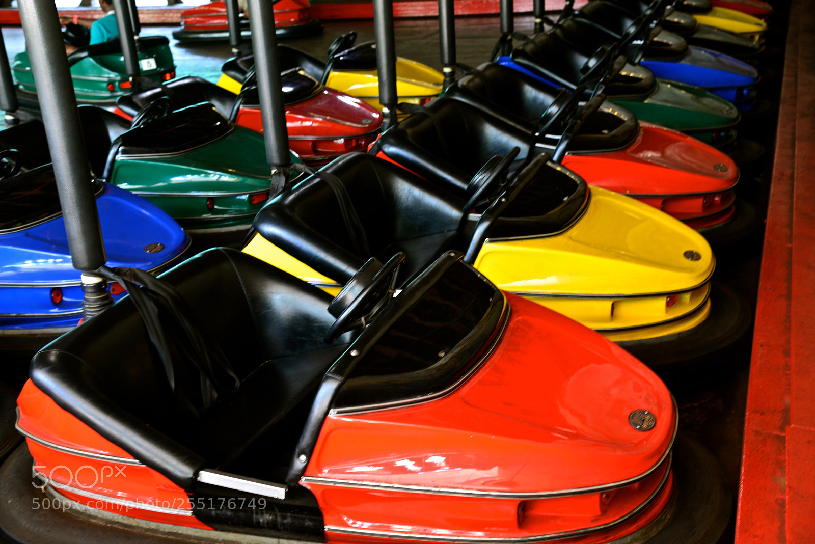 Nikon D600 sample photo. Bumper cars photography