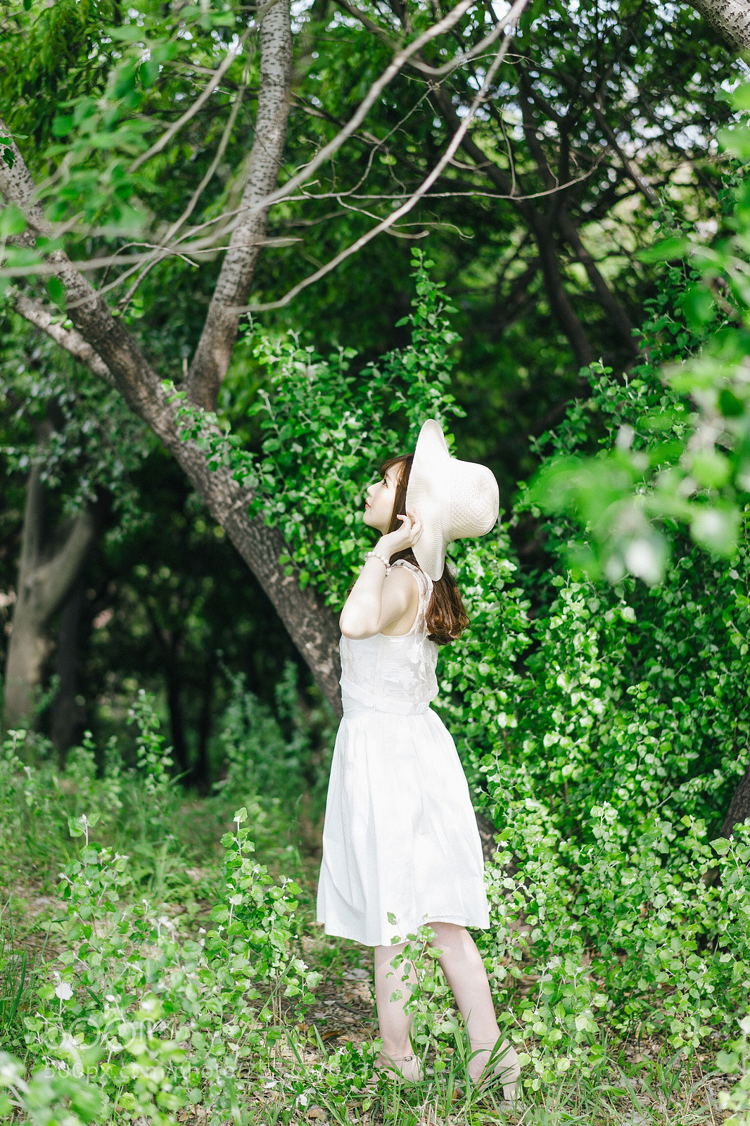 Sony a7 sample photo. In the forest. photography