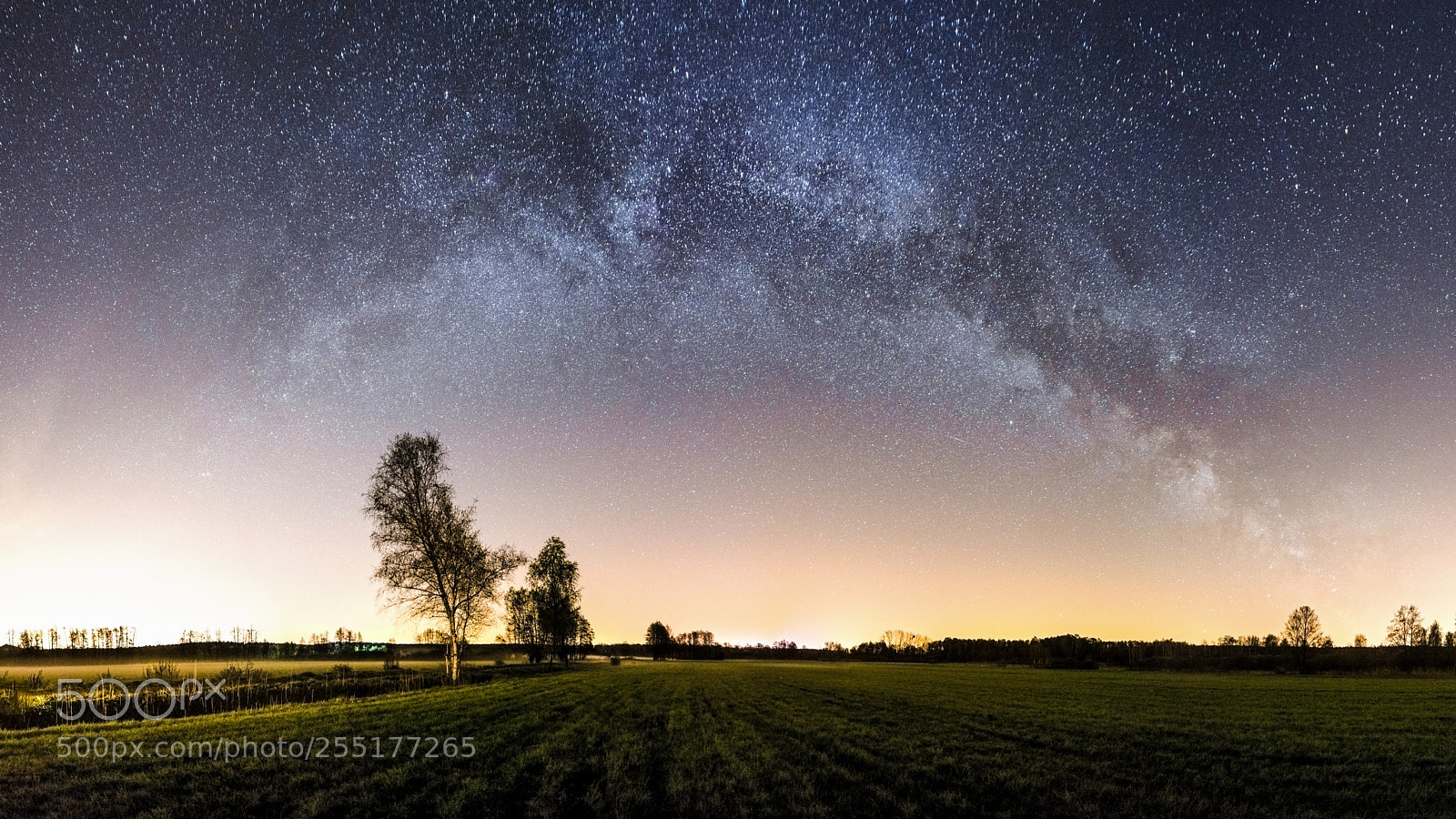 Nikon D610 sample photo. Panoramic milky way above photography