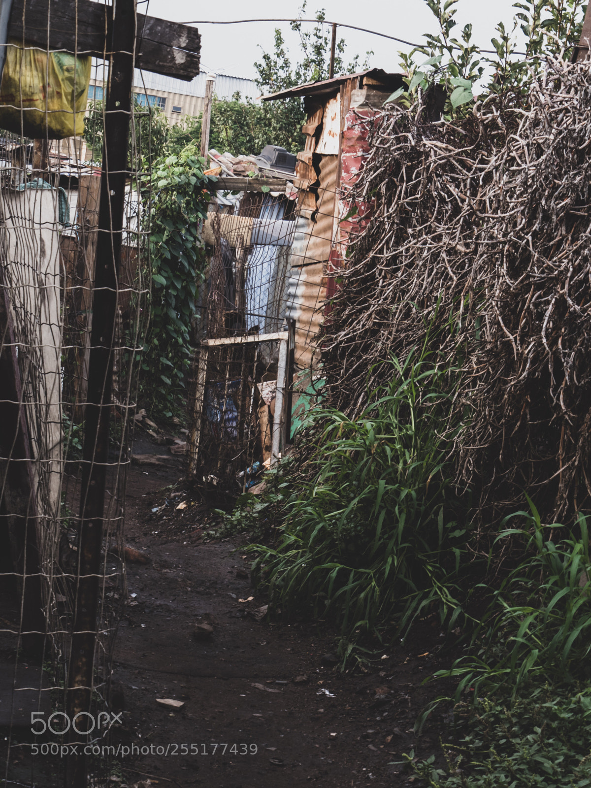 Panasonic Lumix DMC-GX8 sample photo. Soweto - south africa photography
