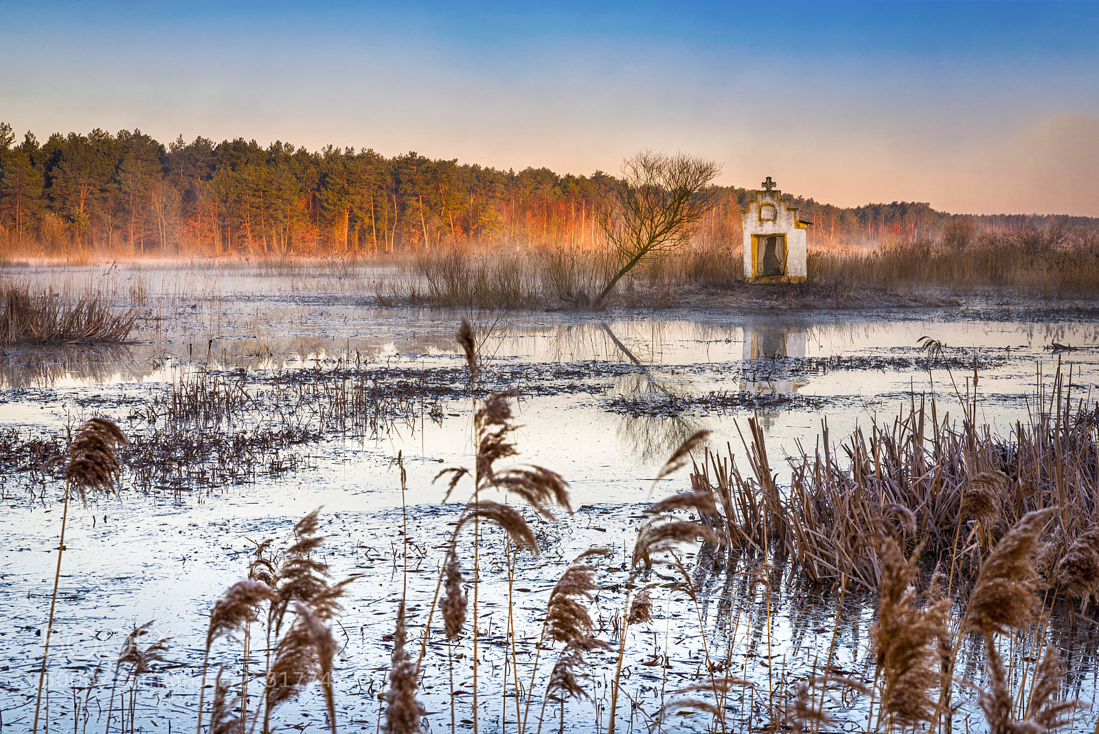Nikon D610 sample photo. Lonely chapel at swamp photography