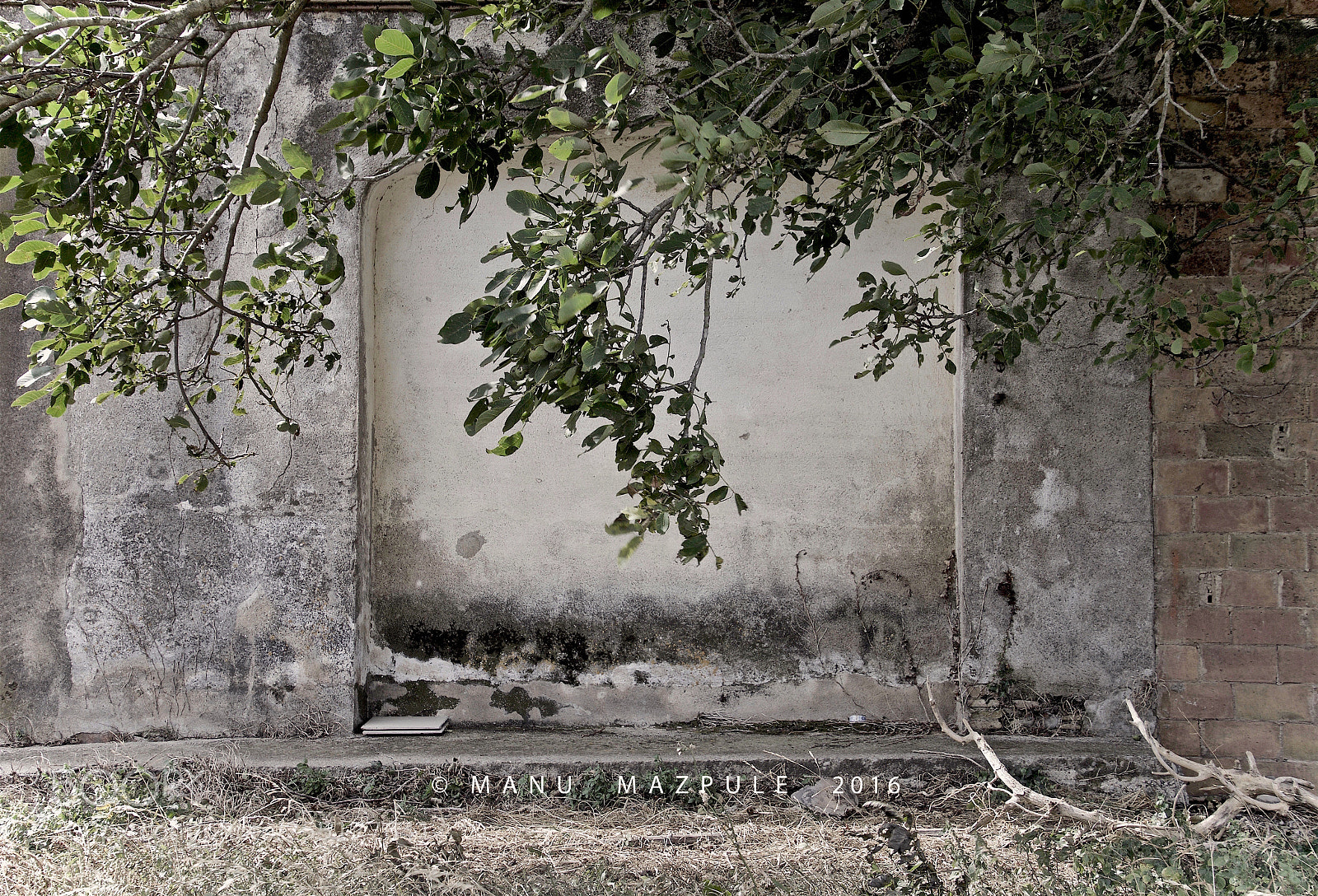 Canon EOS 70D sample photo. 310. girona. catalunya... no passing... photography